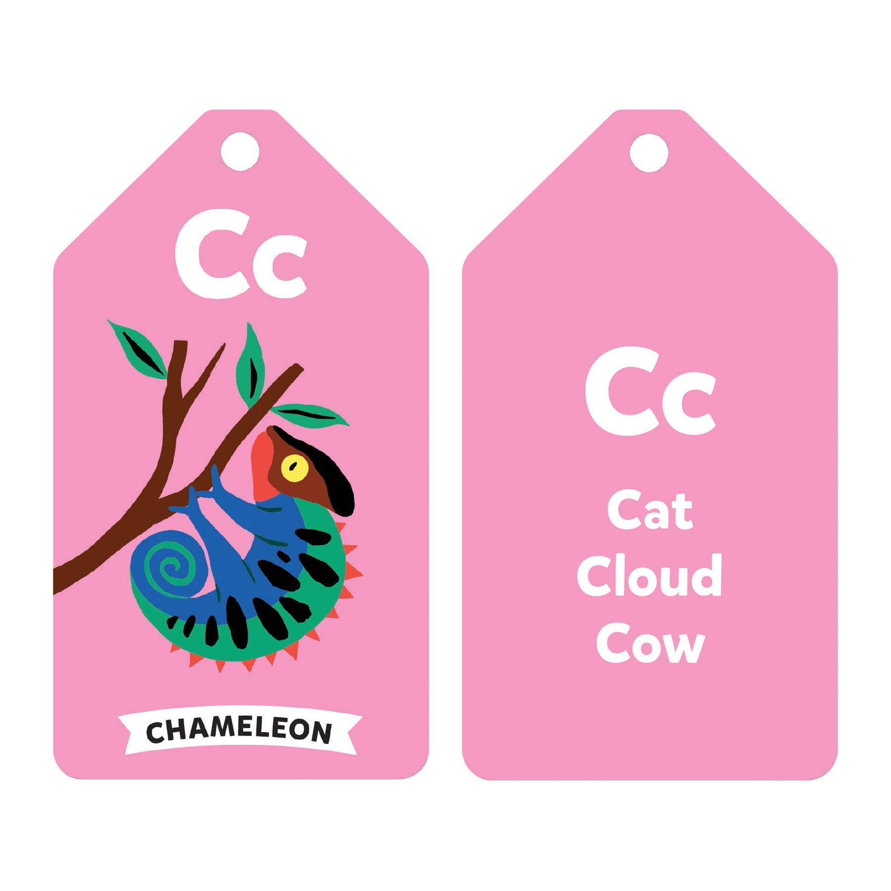 Wildlife ABCs Ring Flash Cards