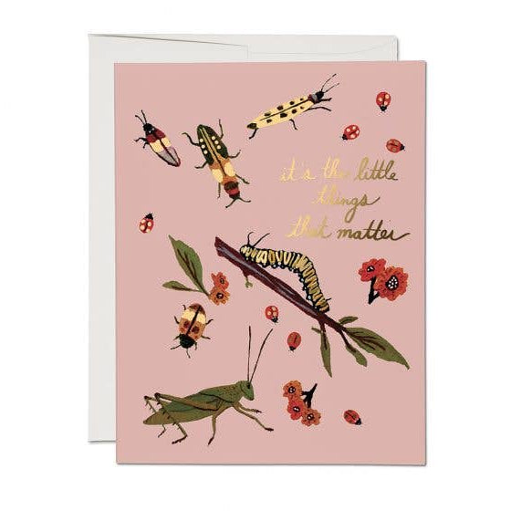 Little Bugs thank you greeting card