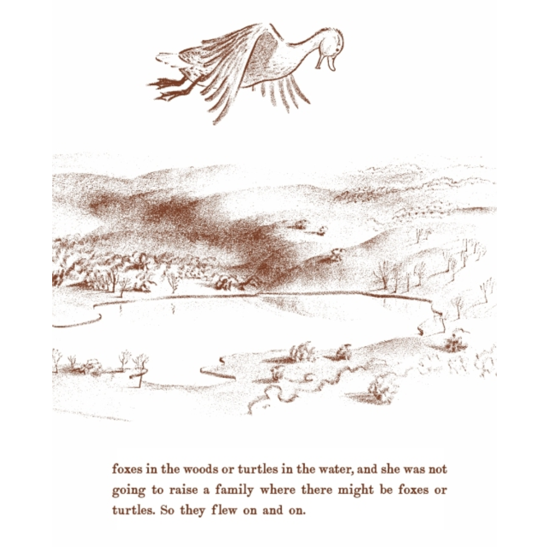 Make Way for Ducklings