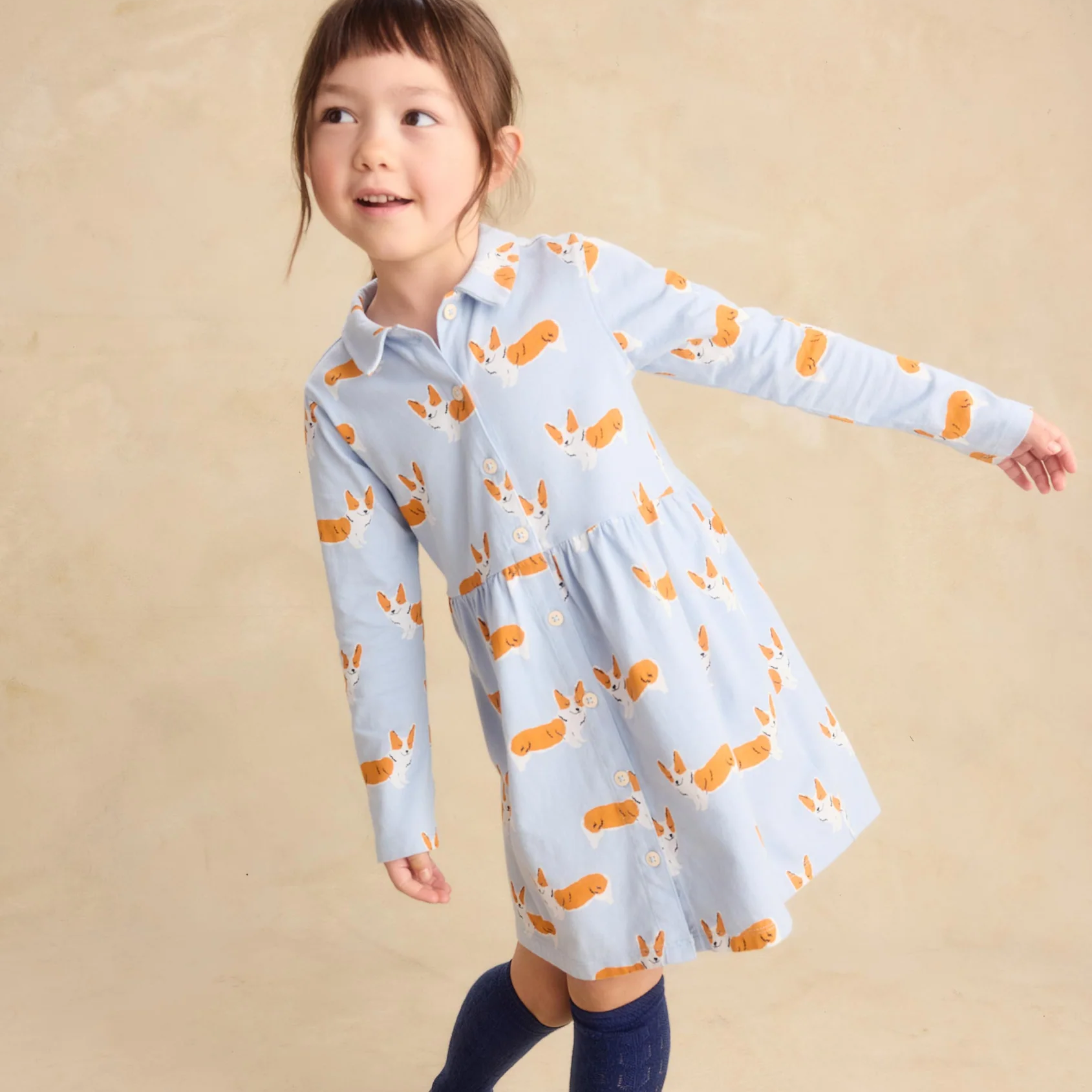 Corgis Collared Shirtdress