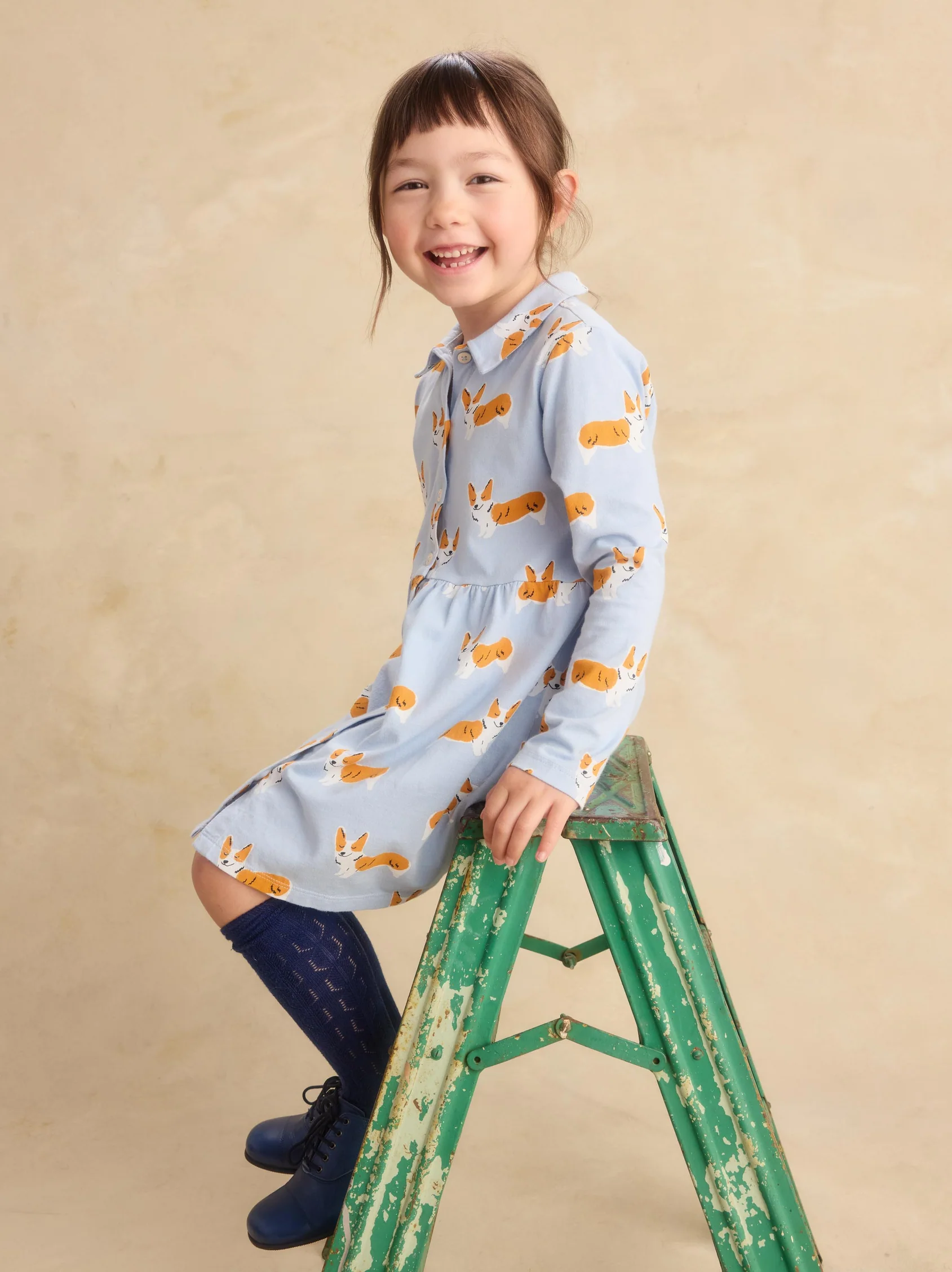 Corgis Collared Shirtdress
