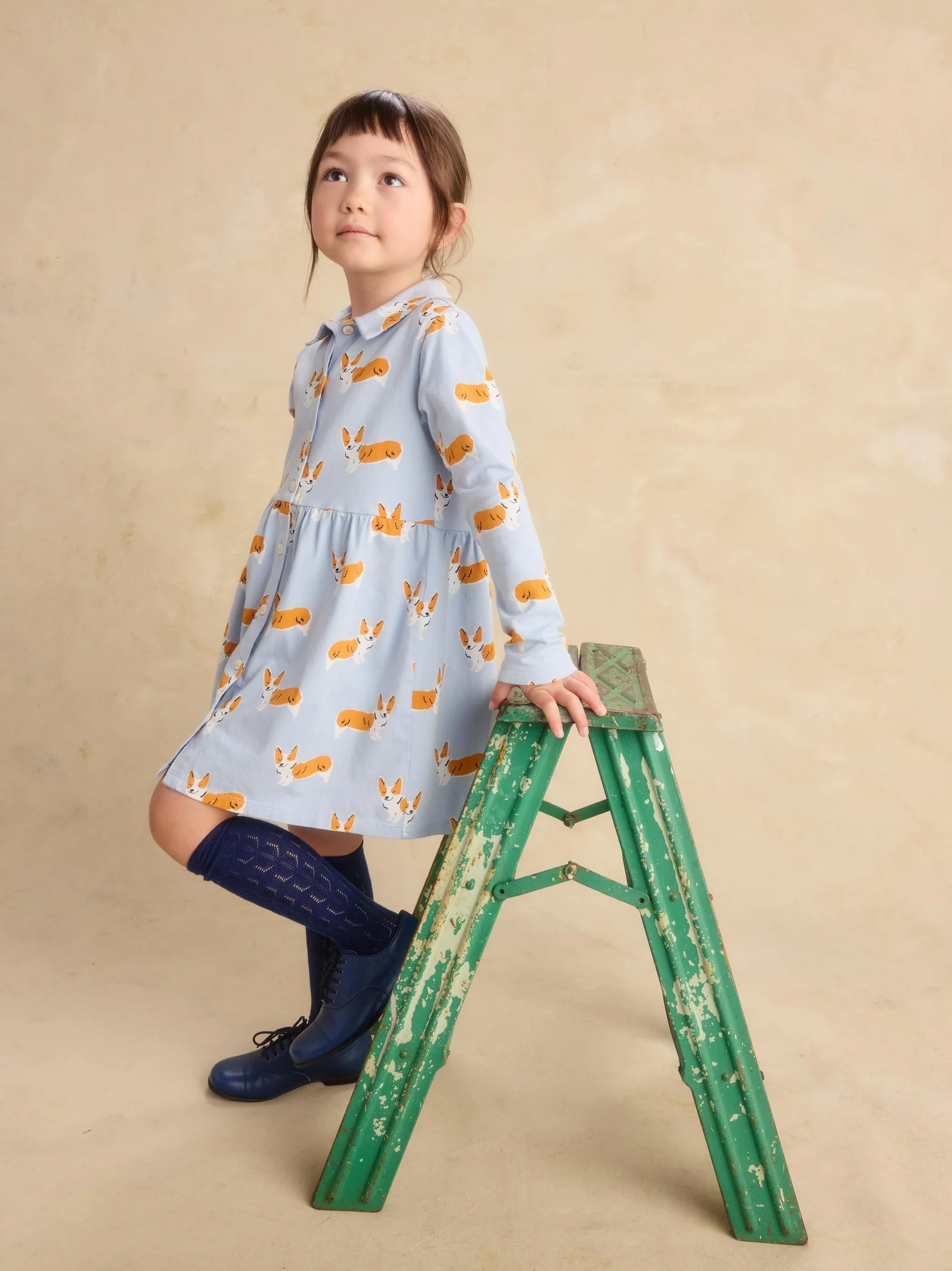 Corgis Collared Shirtdress