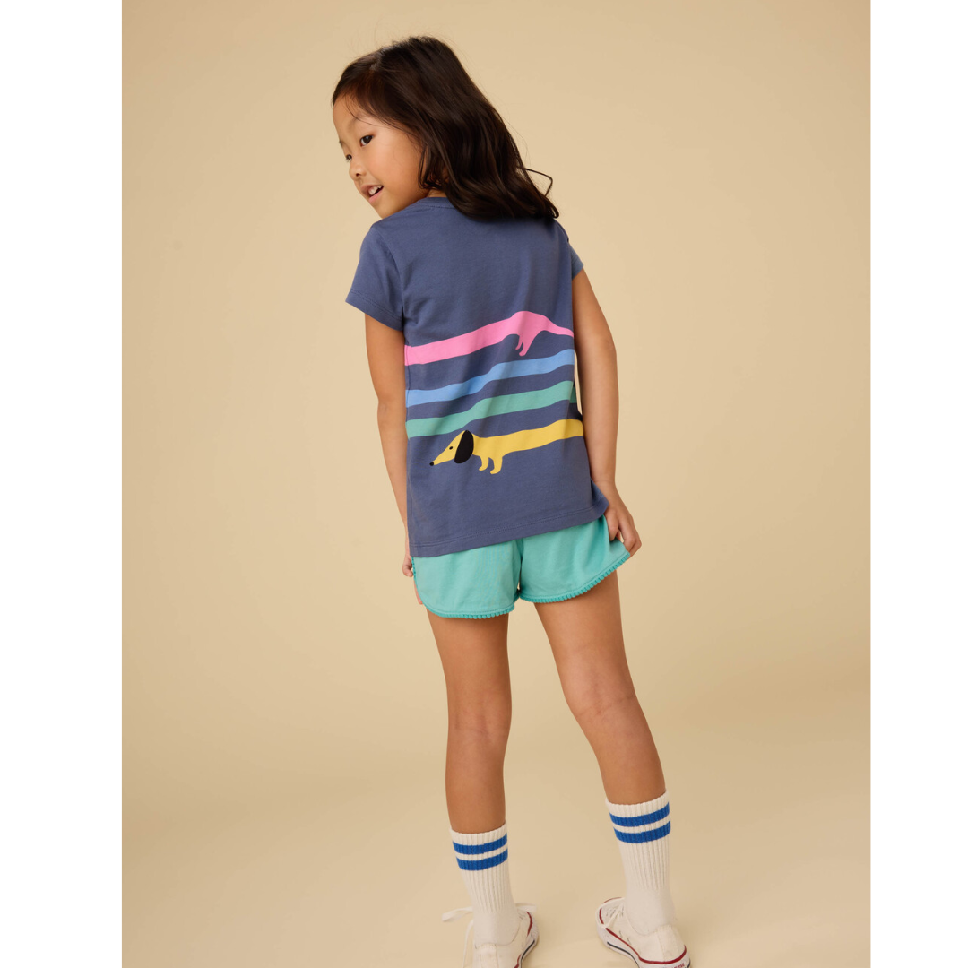 Rainbow Dachsund Graphic Tee