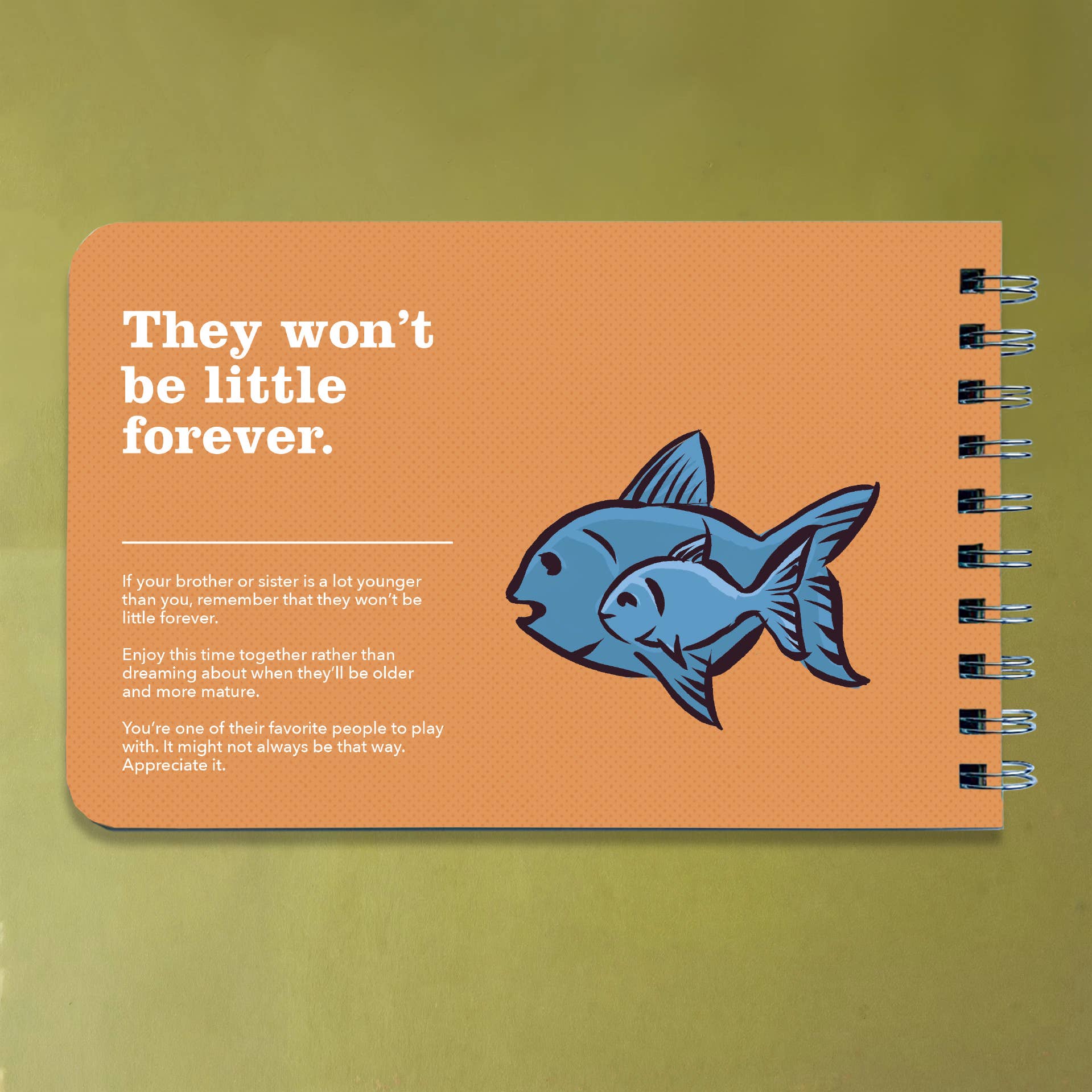 Being a Big Brother - A Book of Guidance and Advice