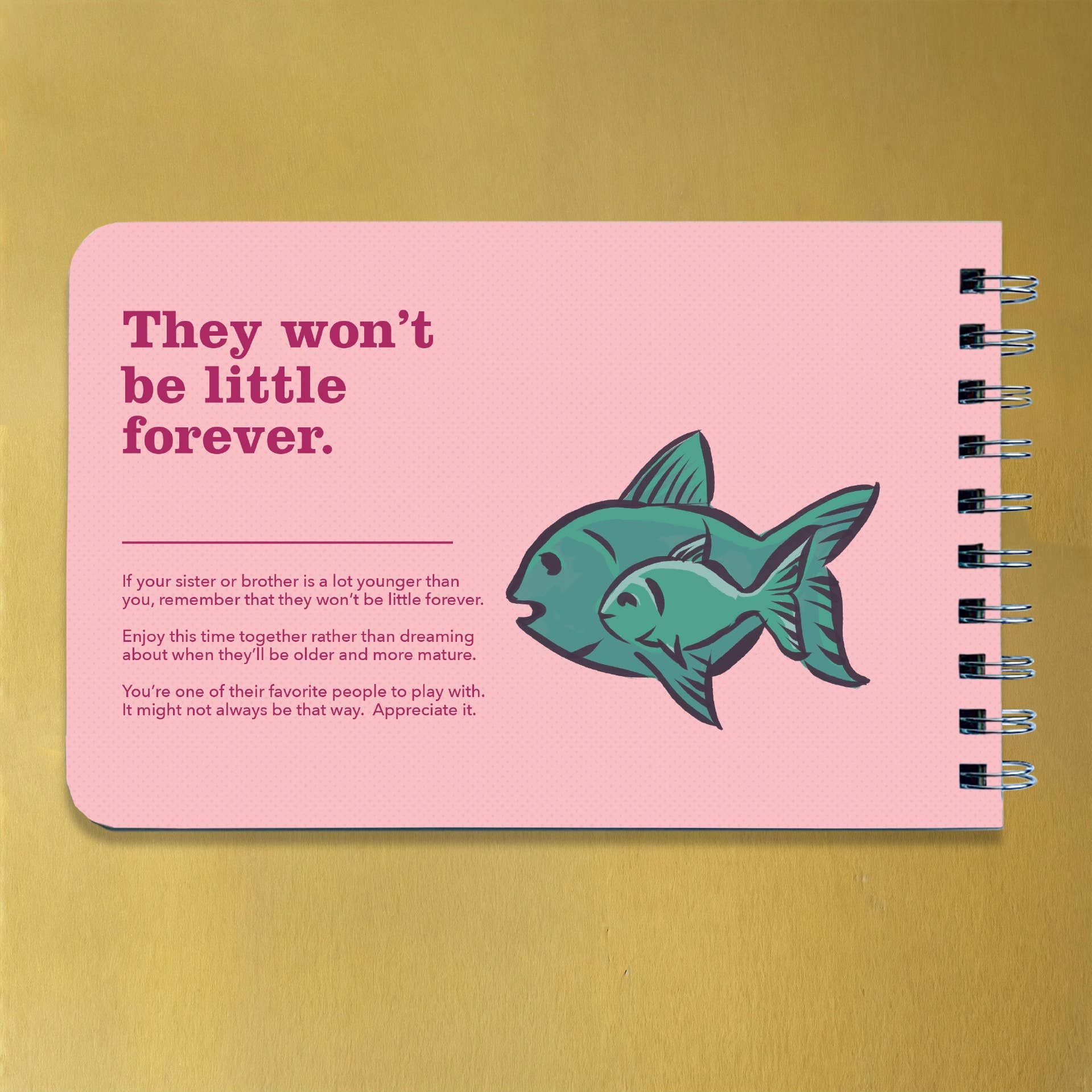 Being a Big Sister Book - Guidance & Advice for New Siblings