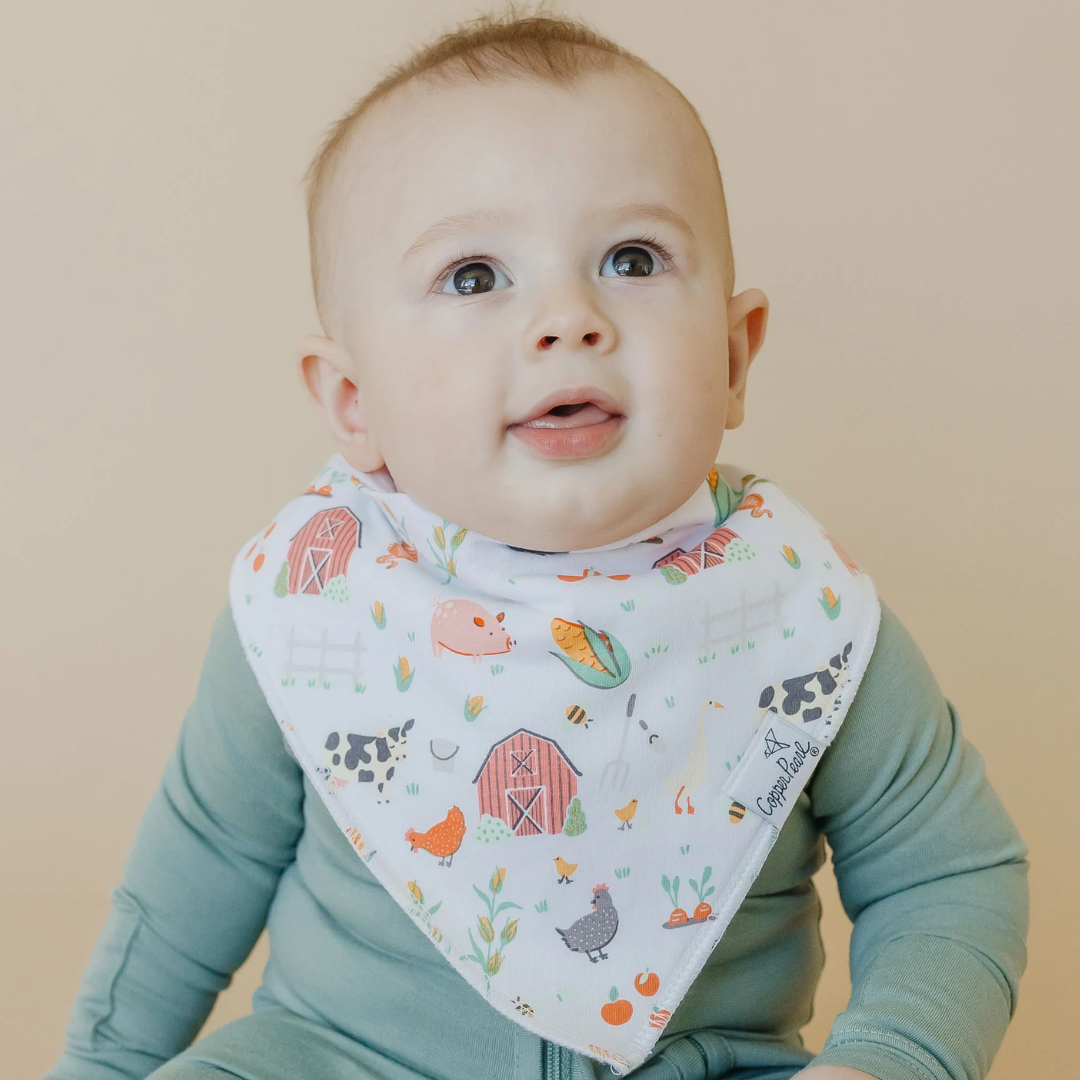 Farmstead Bandana Bib Set