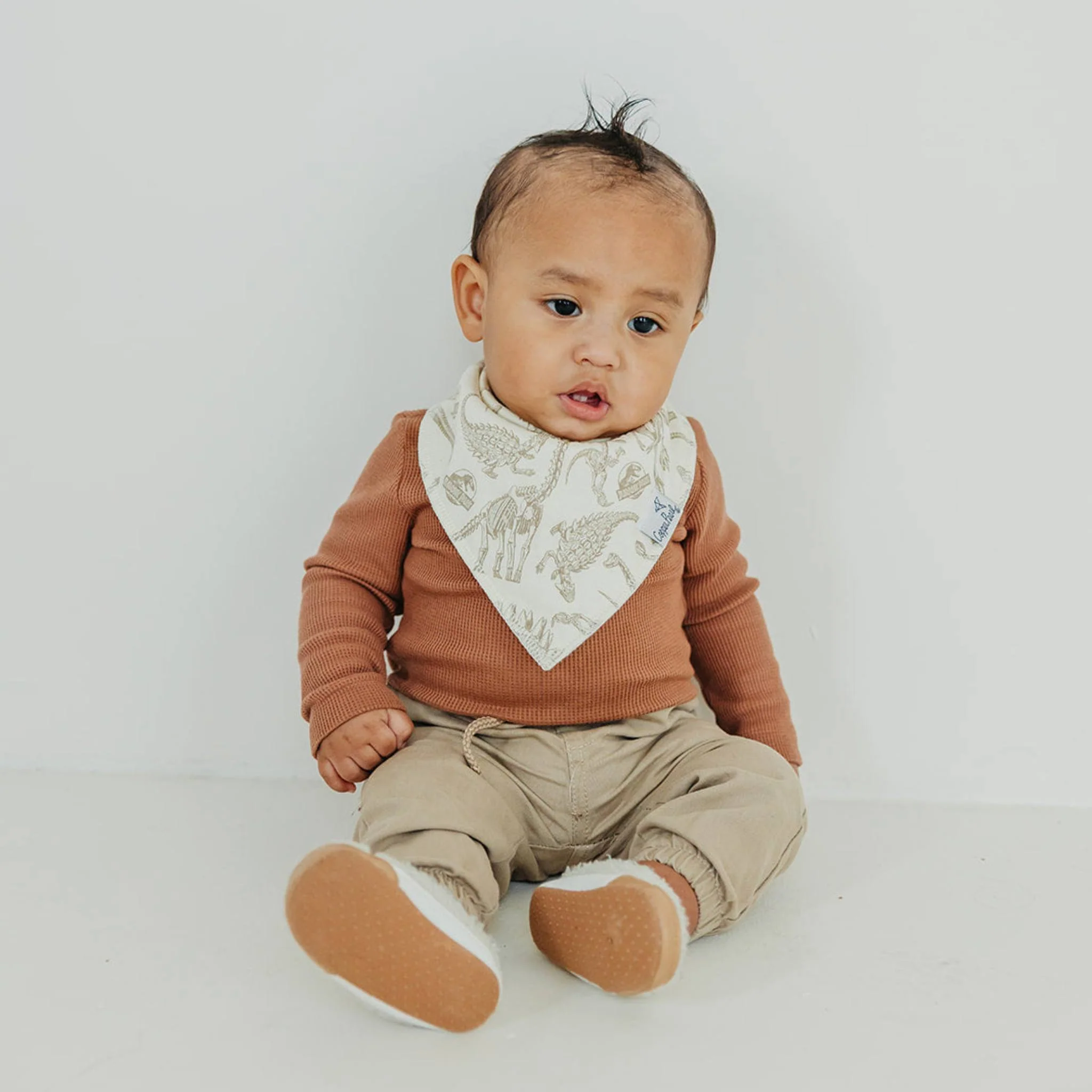 Jurassic Park Bandana Bib Set 4-pack