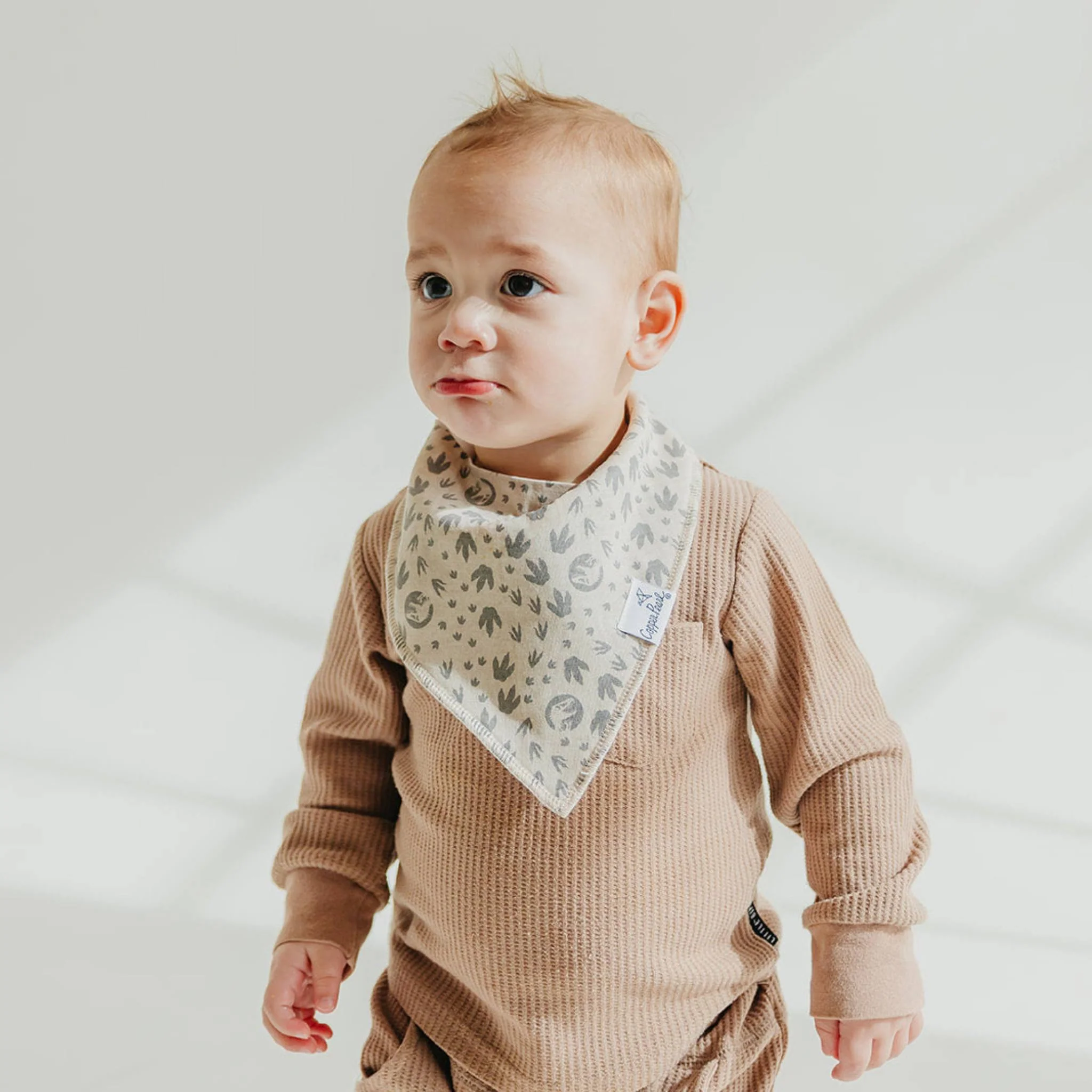 Jurassic Park Bandana Bib Set 4-pack