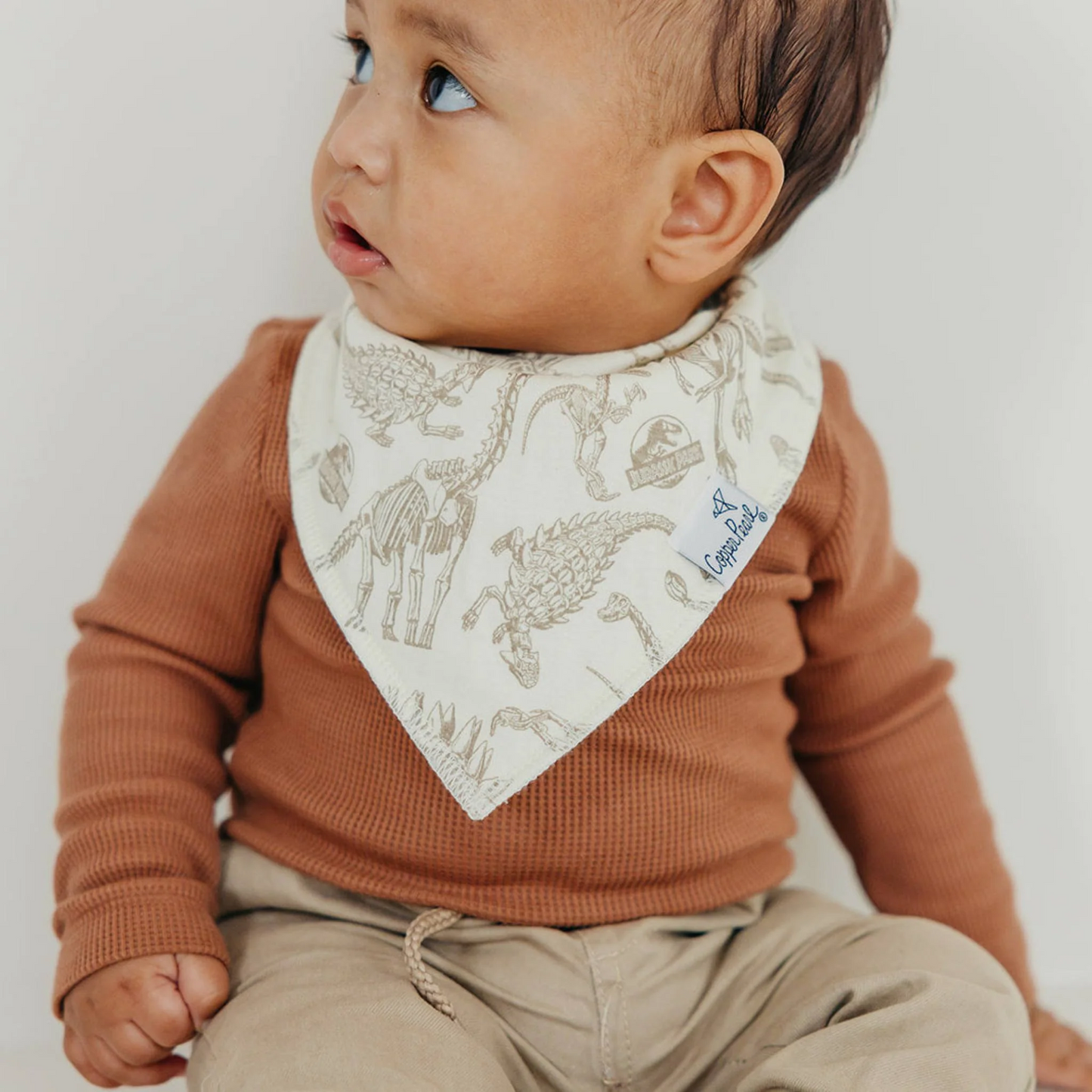 Jurassic Park Bandana Bib Set 4-pack