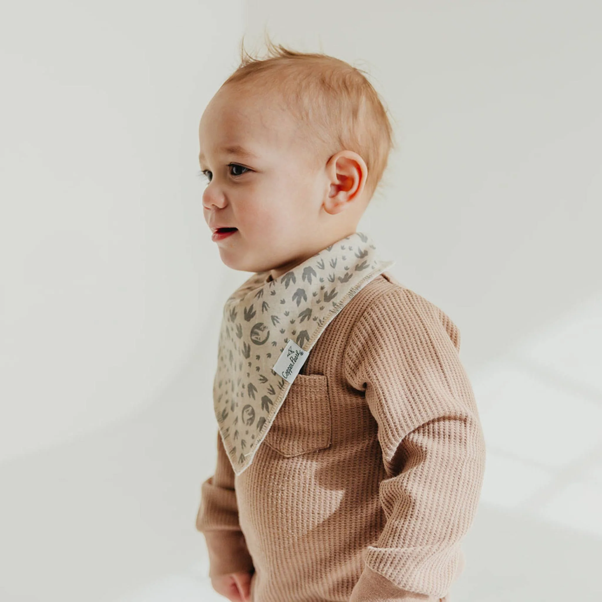 Jurassic Park Bandana Bib Set 4-pack