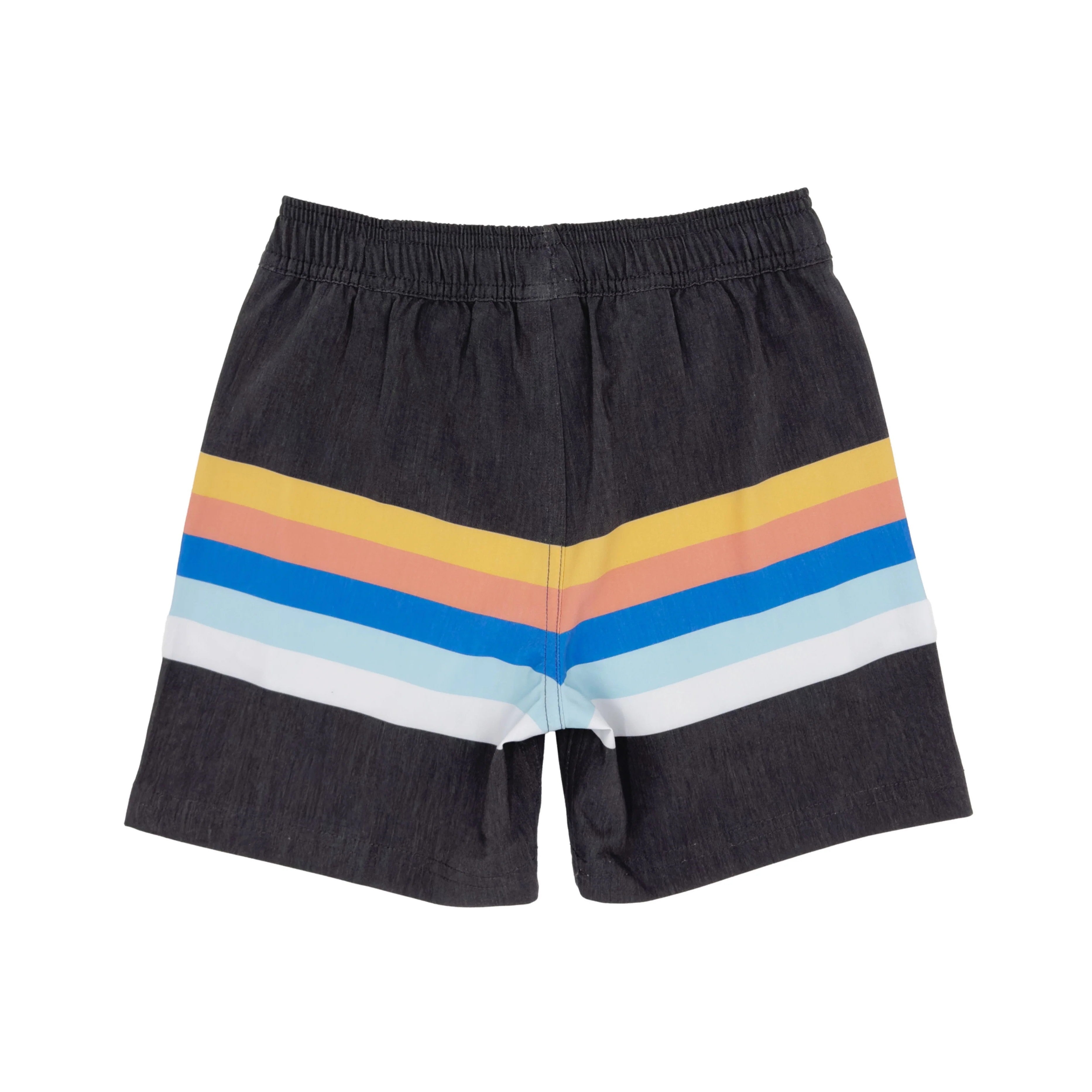 Vintage Stripe Volley Swim Trunk
