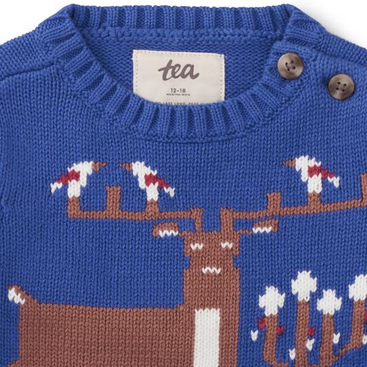 Majorelle Blue Reindeer Sweater