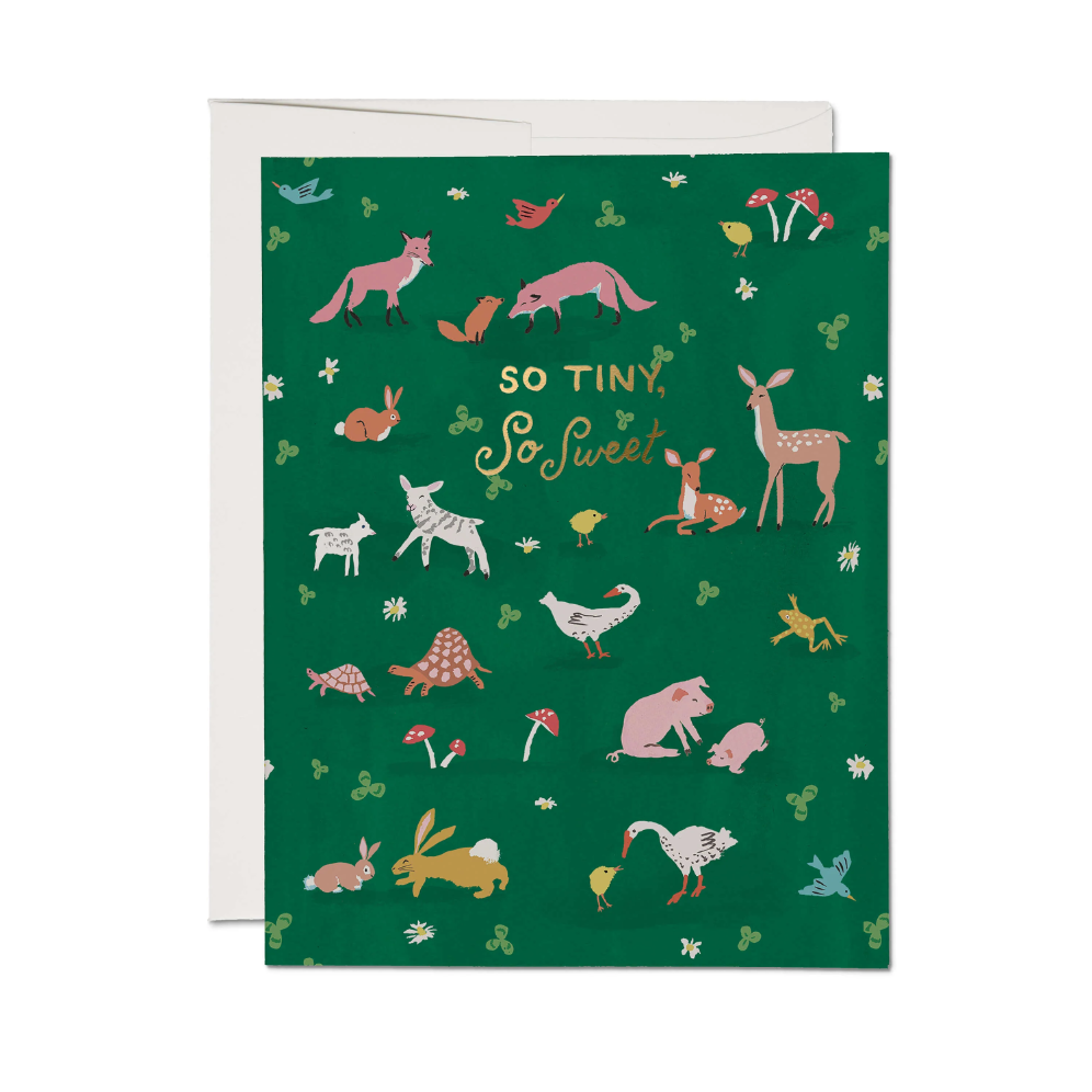 Tiny Animals baby greeting card
