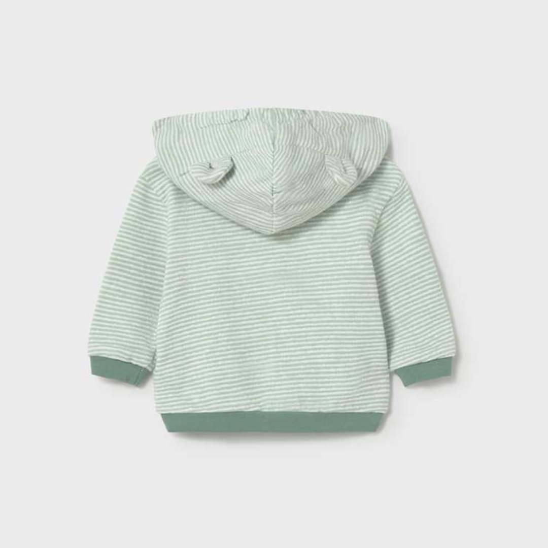 Moss Star Balloon Set