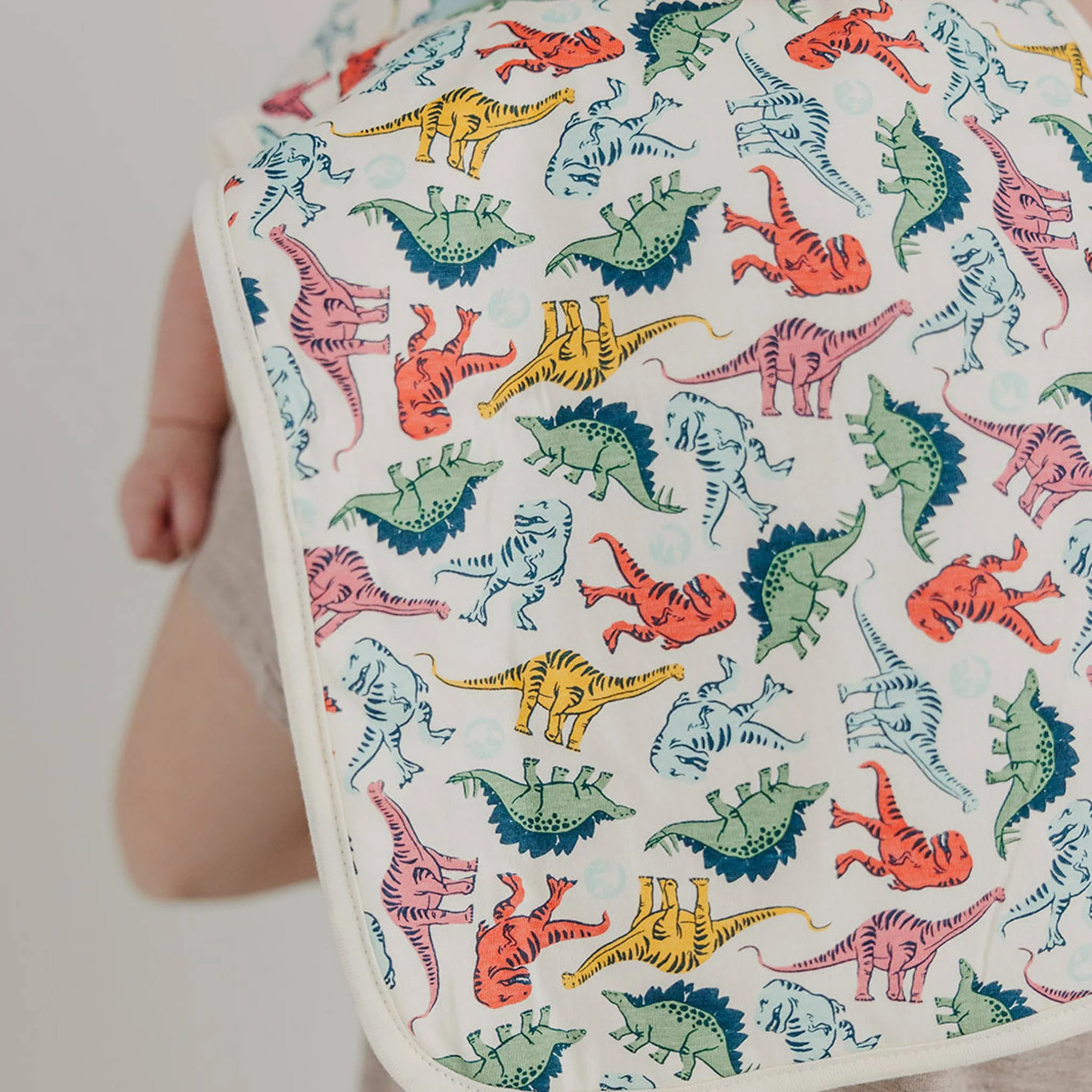 Jurassic Park Burp Cloth Set 3 Pack