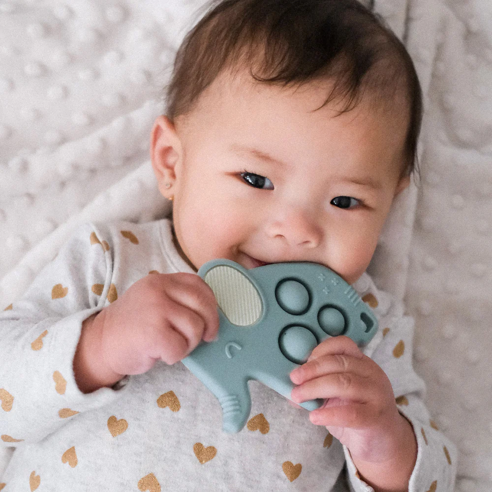 Itzy Pop™ Elephant Sensory Popper Toy