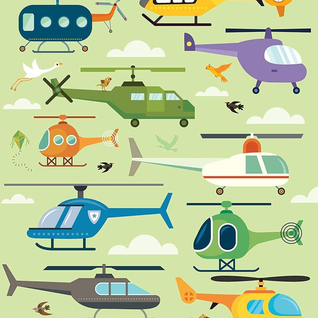 Find Me! Adventures in the Sky -Hidden Picture Activiti (SC)