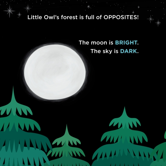 Little Owl's Opposites