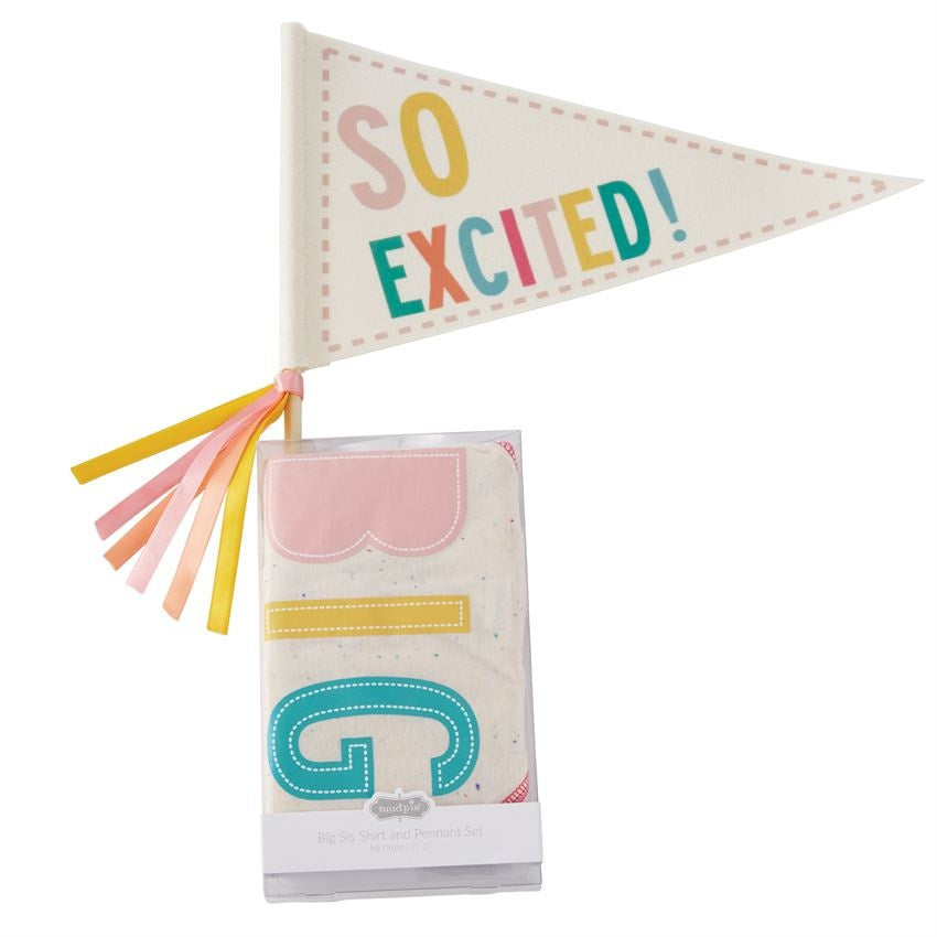 BIG SIS pennant Set