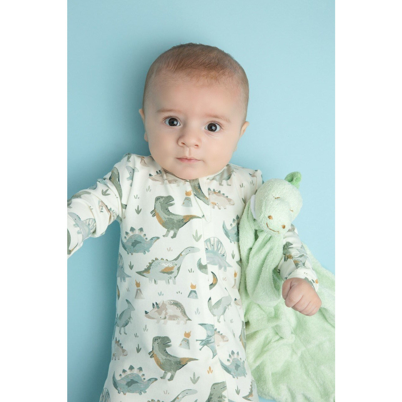 Dinosaur Blankie