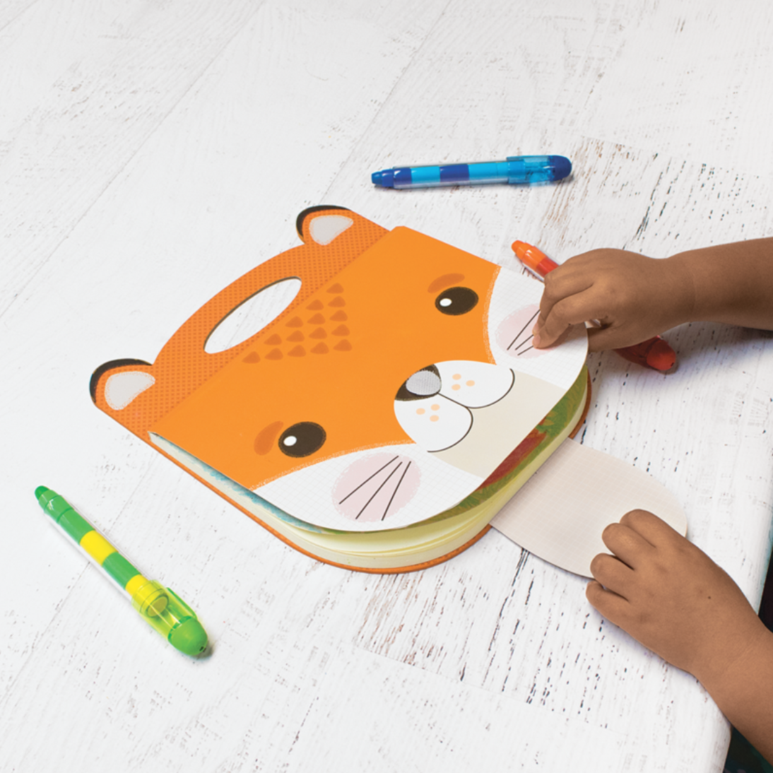 fox sketchbook