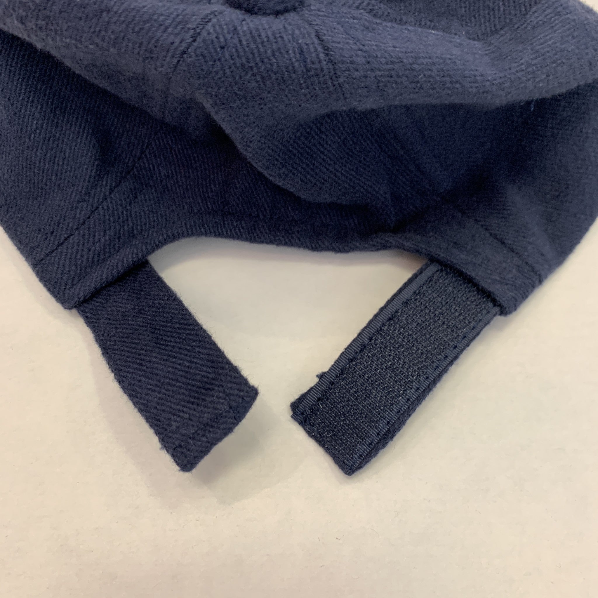 the back of the michigan hat