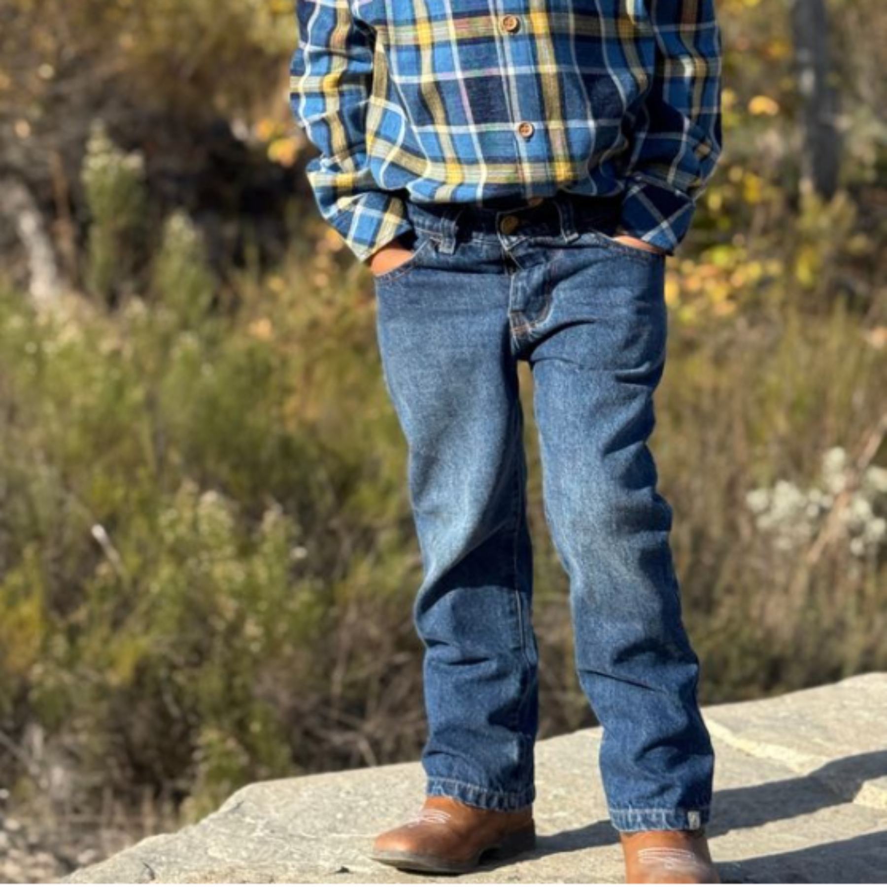 Buckaroo Bootcut Jean