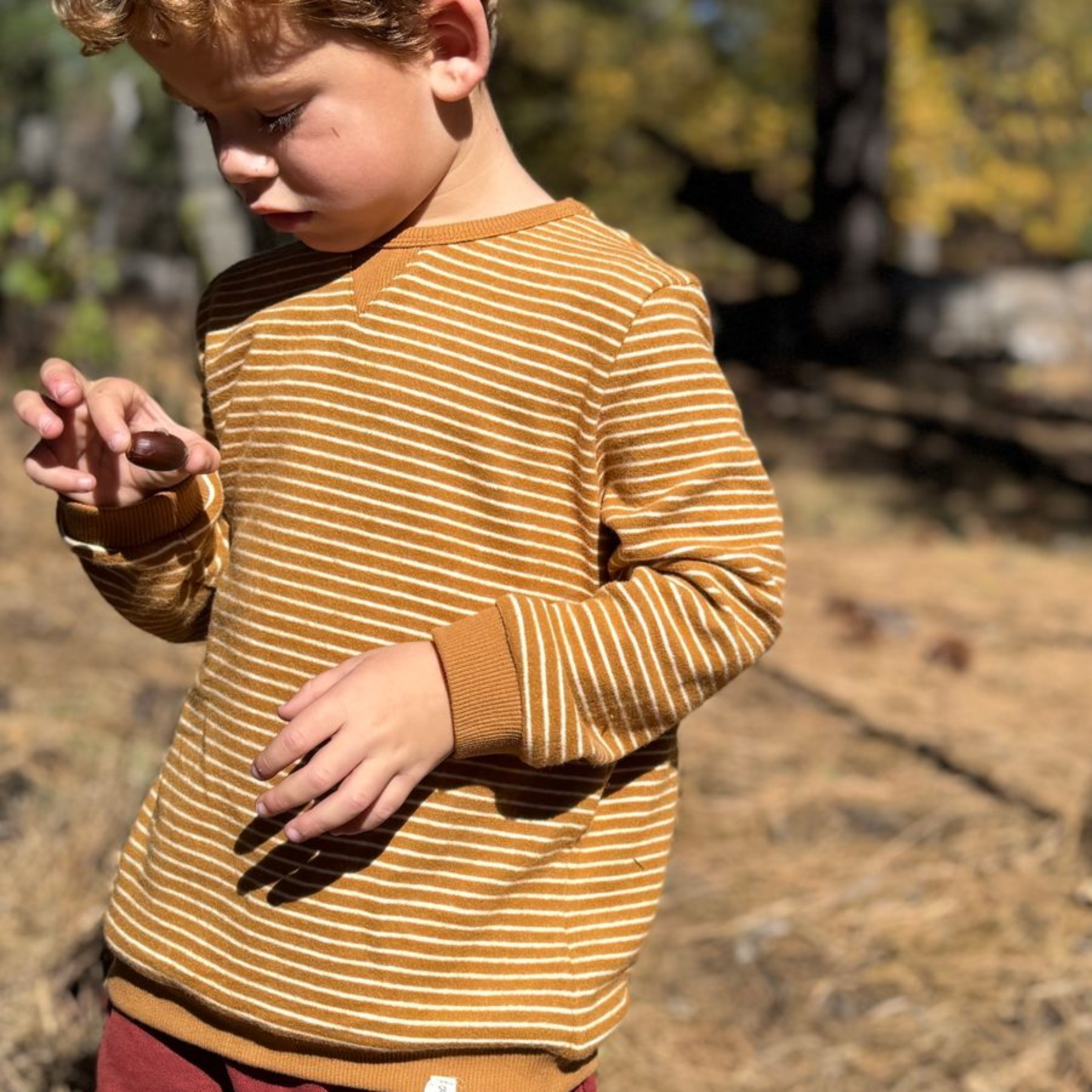 Beige Gold Brushed Stripe Tarquin Sweatshirt