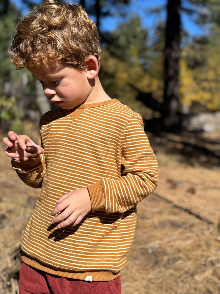 Beige Gold Brushed Stripe Tarquin Sweatshirt