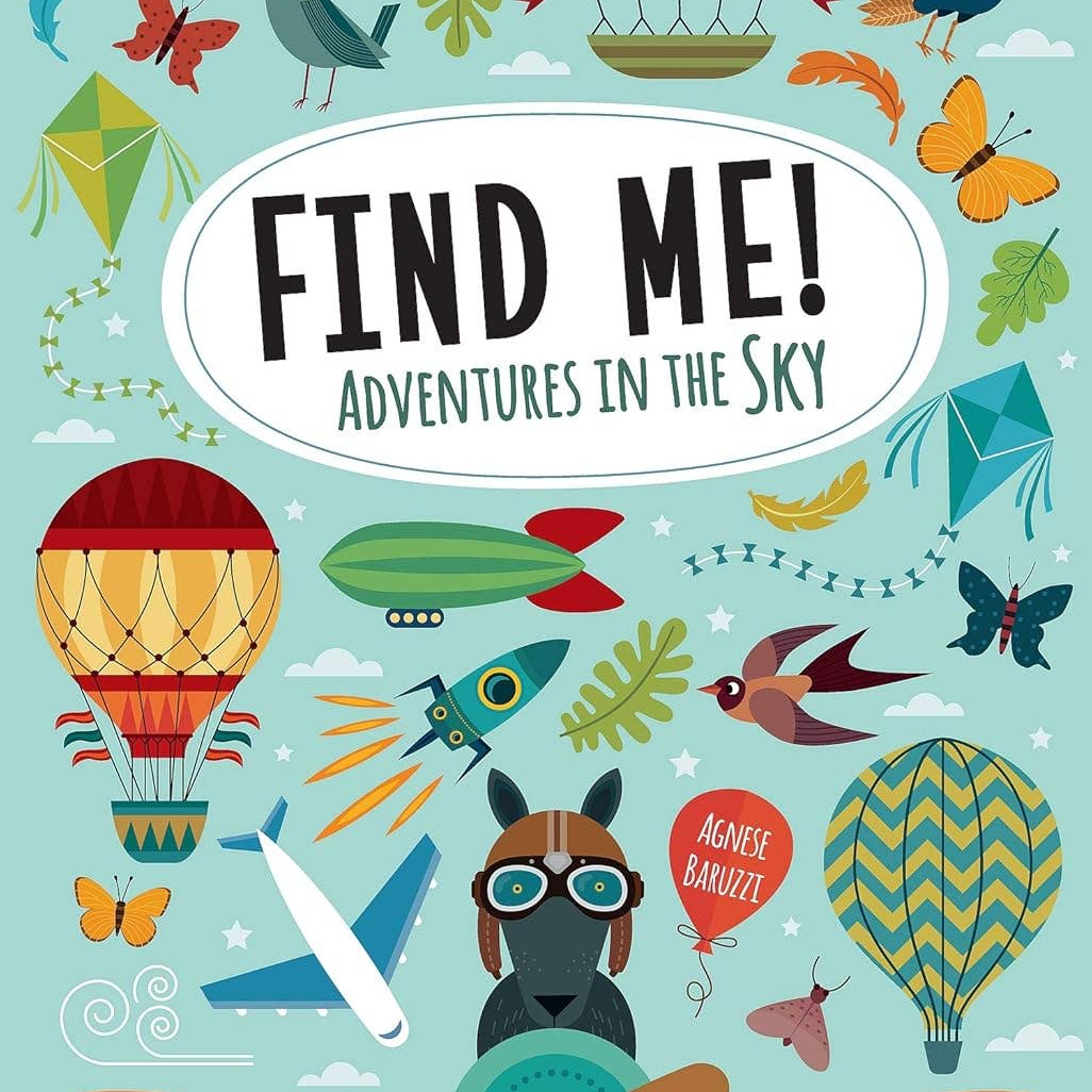 Find Me! Adventures in the Sky -Hidden Picture Activiti (SC)