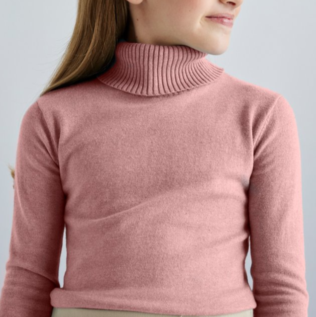 Rose Basic Knit Turtleneck