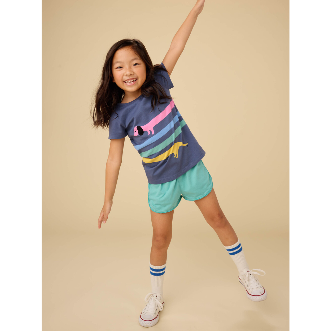 Rainbow Dachsund Graphic Tee