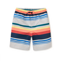 Mediterranean Stripe Full Length Swim Trunks