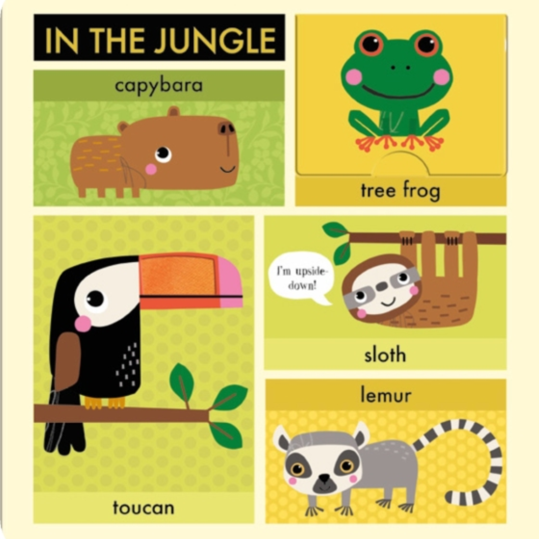 Lift Touch and Learn First Words: Animals