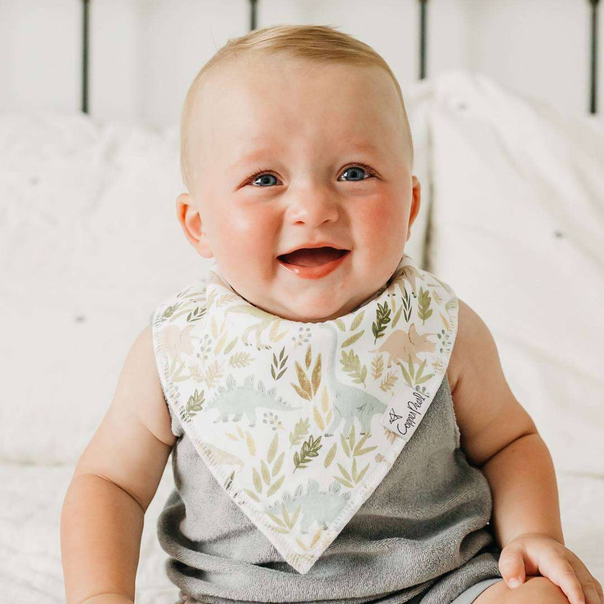 4 Pack Baby Bandana Bibs - Rex