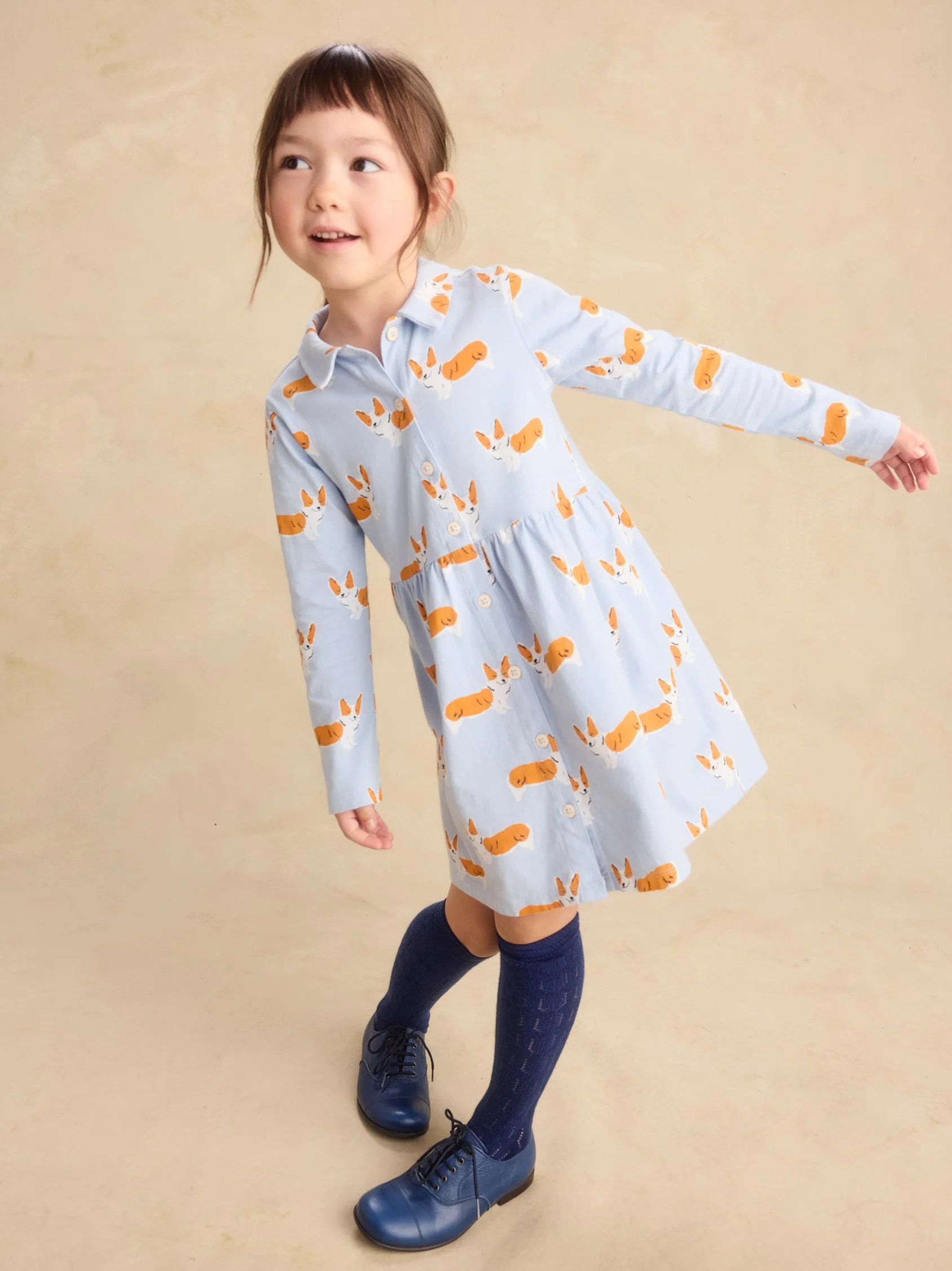 Corgis Collared Shirtdress