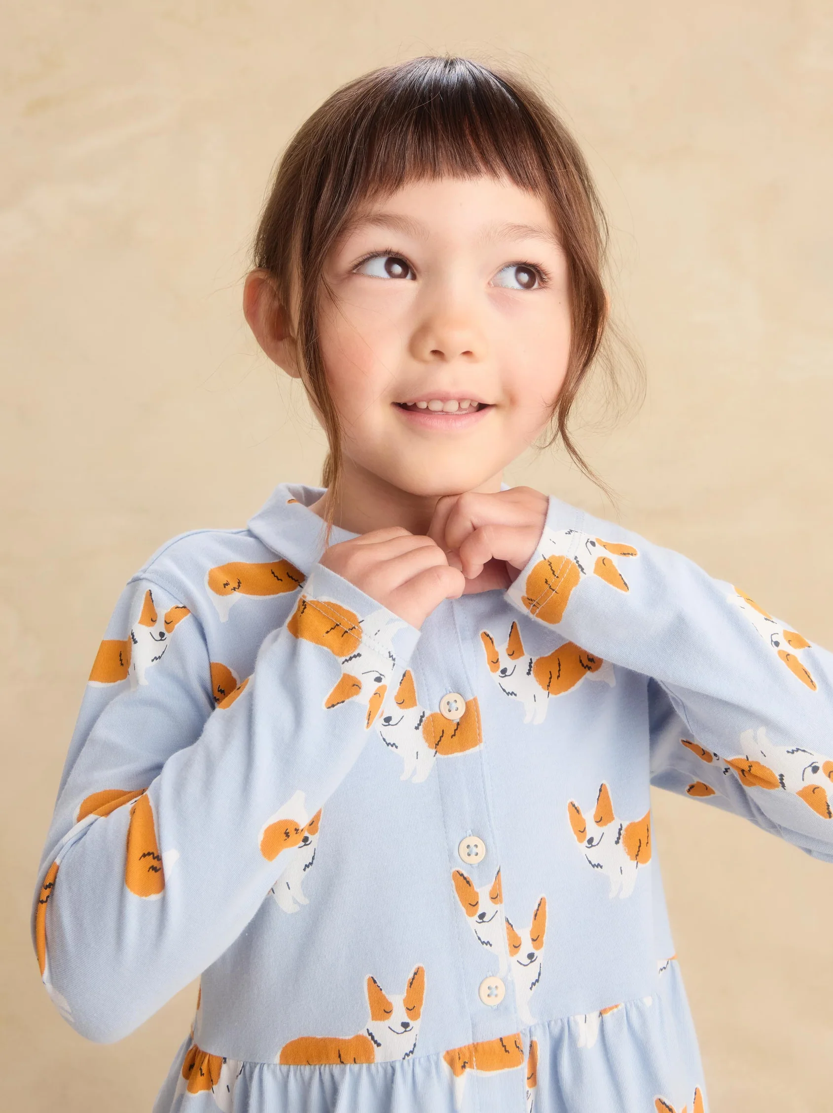 Corgis Collared Shirtdress