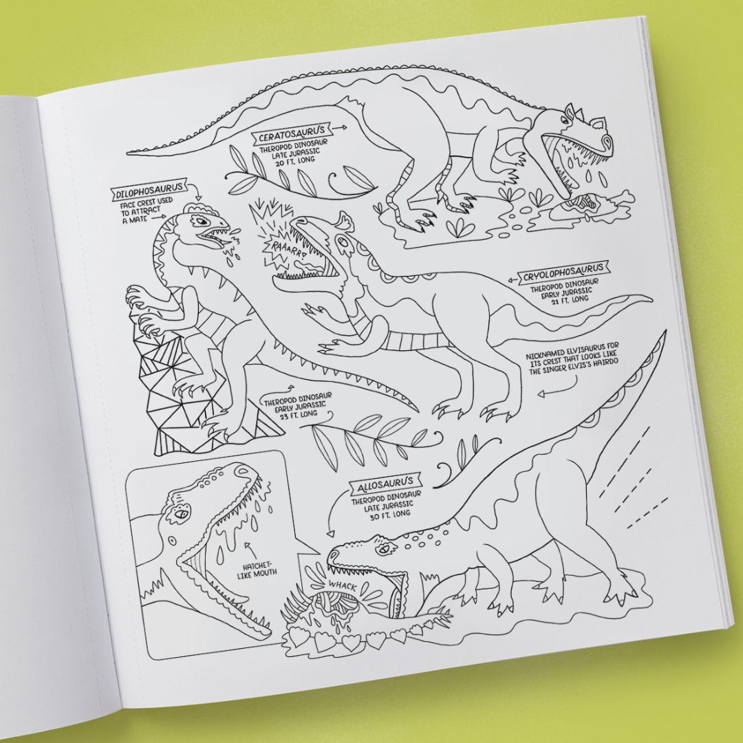 Dinosaurs Coloring Book