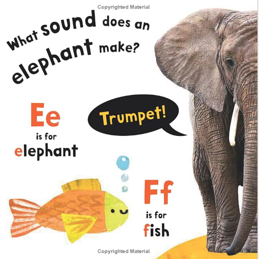 A to Z My First Touch and Explore Book