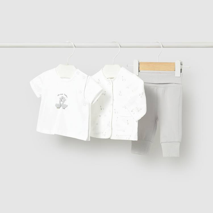 Silver Goose 3 piece outfit