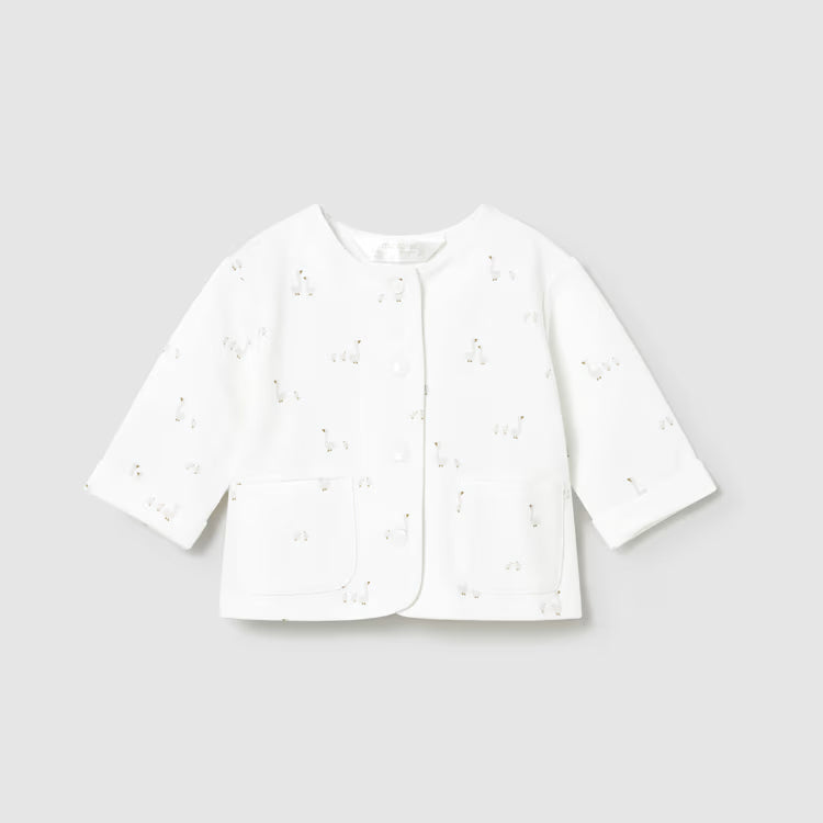 Silver Goose 3 piece outfit