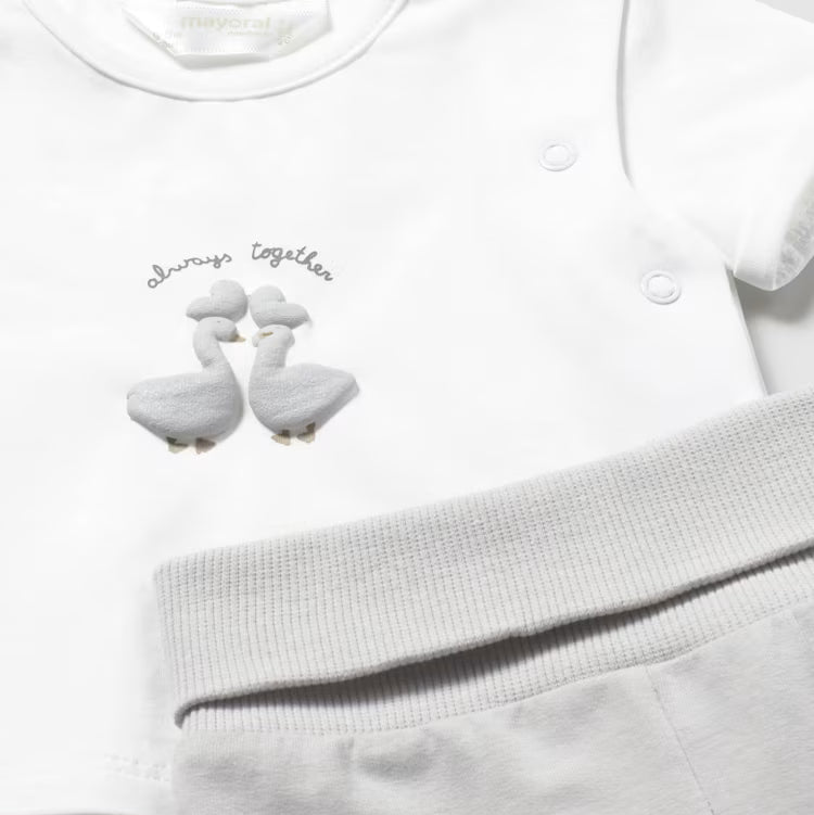 Silver Goose 3 piece outfit