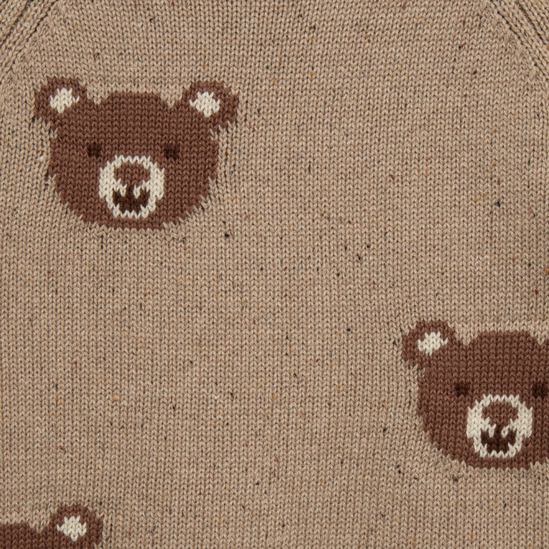 Bear Multi Sweater Set