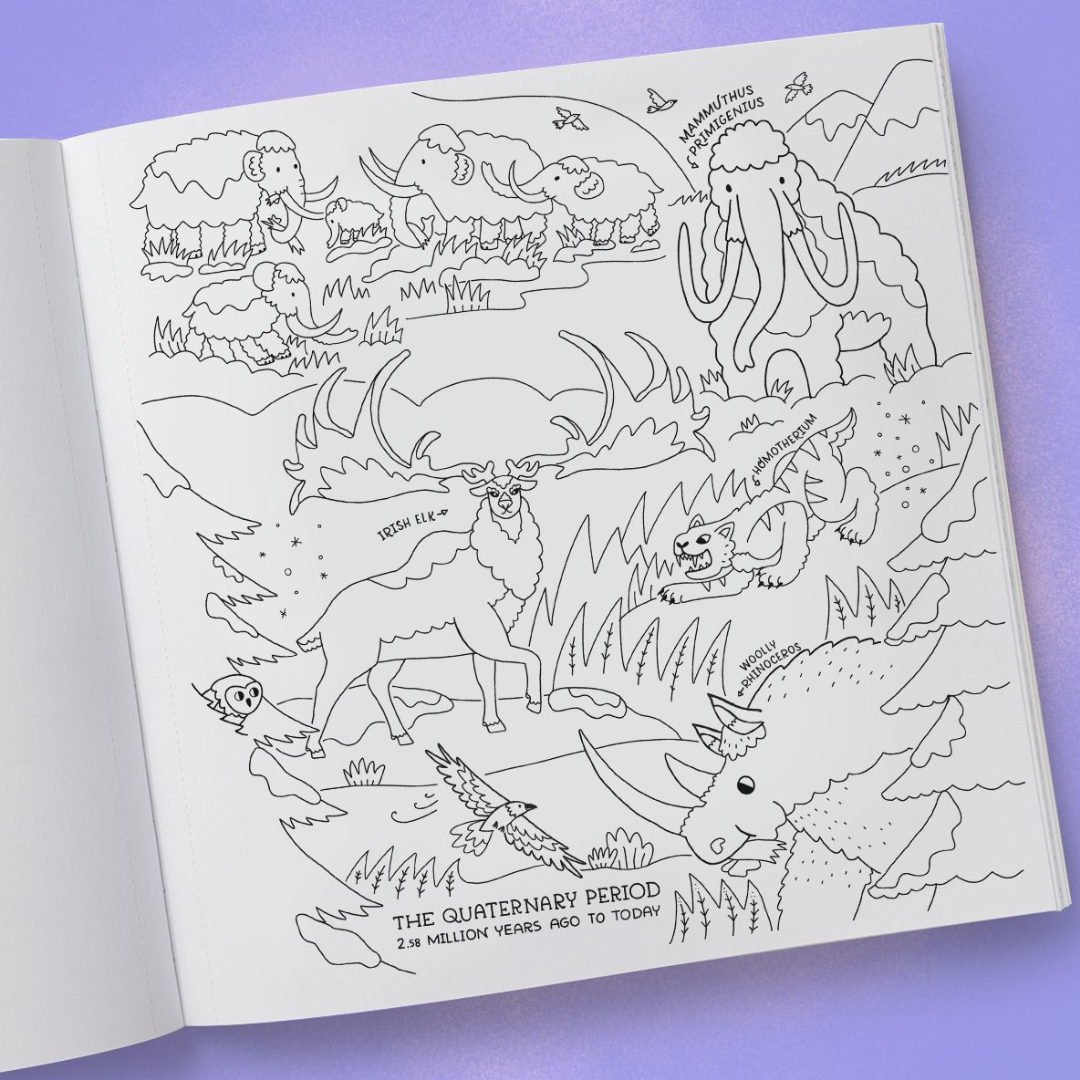 Dinosaurs Coloring Book