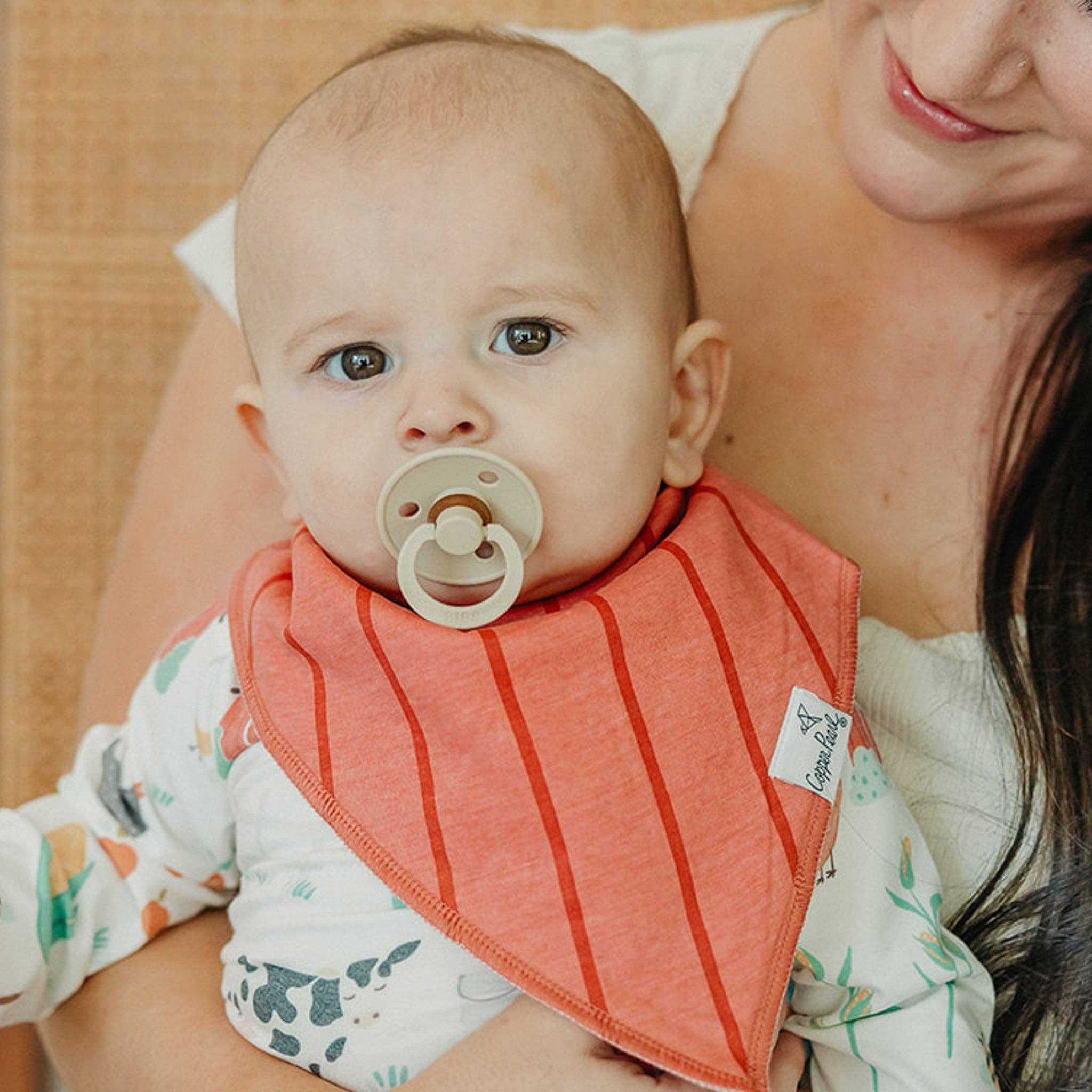 4 Pack Baby Bandana Bibs - Farmstead