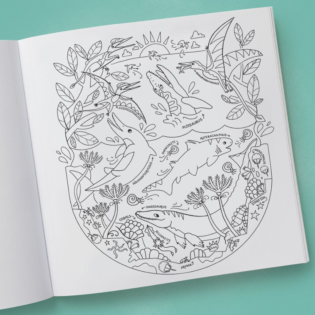 Dinosaurs Coloring Book