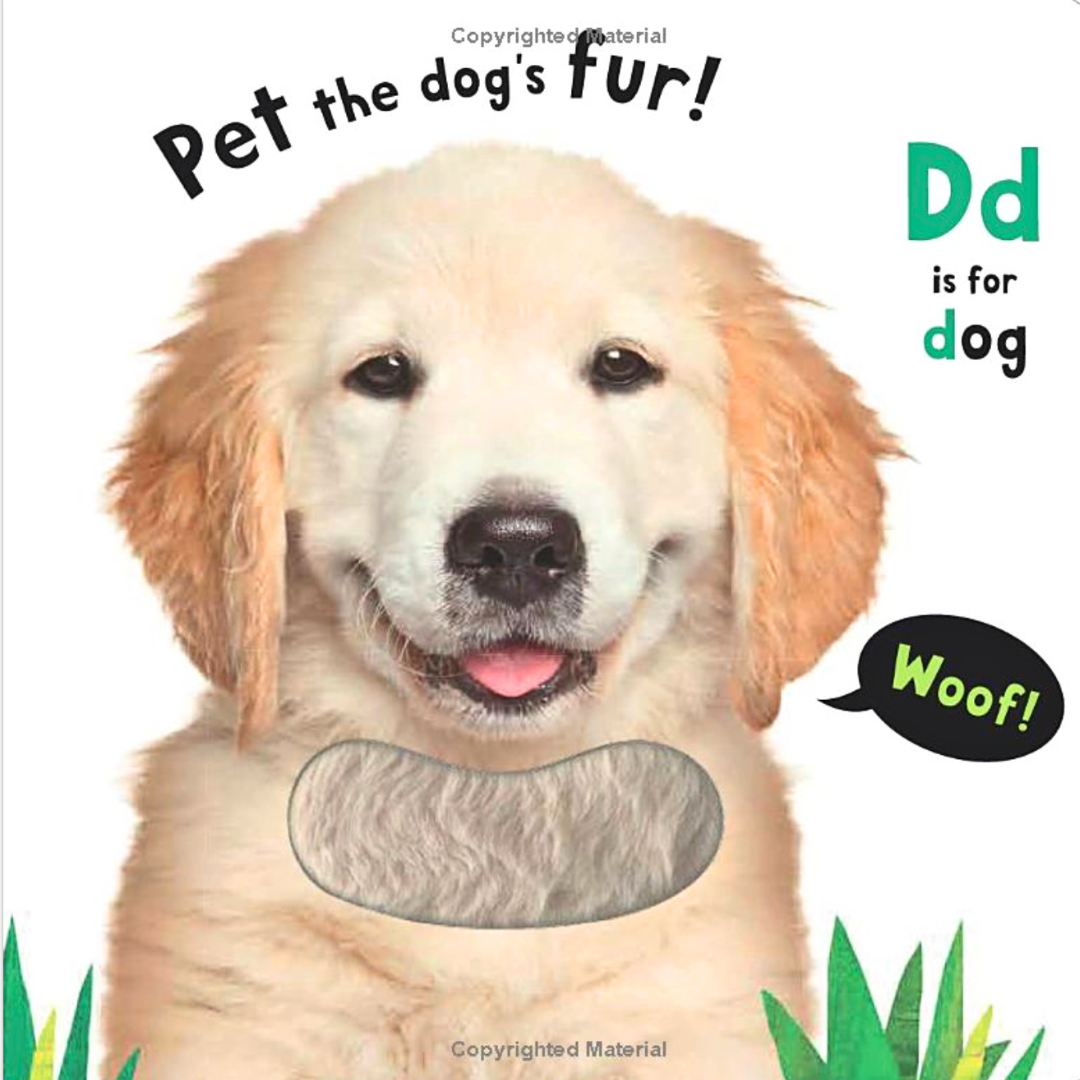 A to Z My First Touch and Explore Book