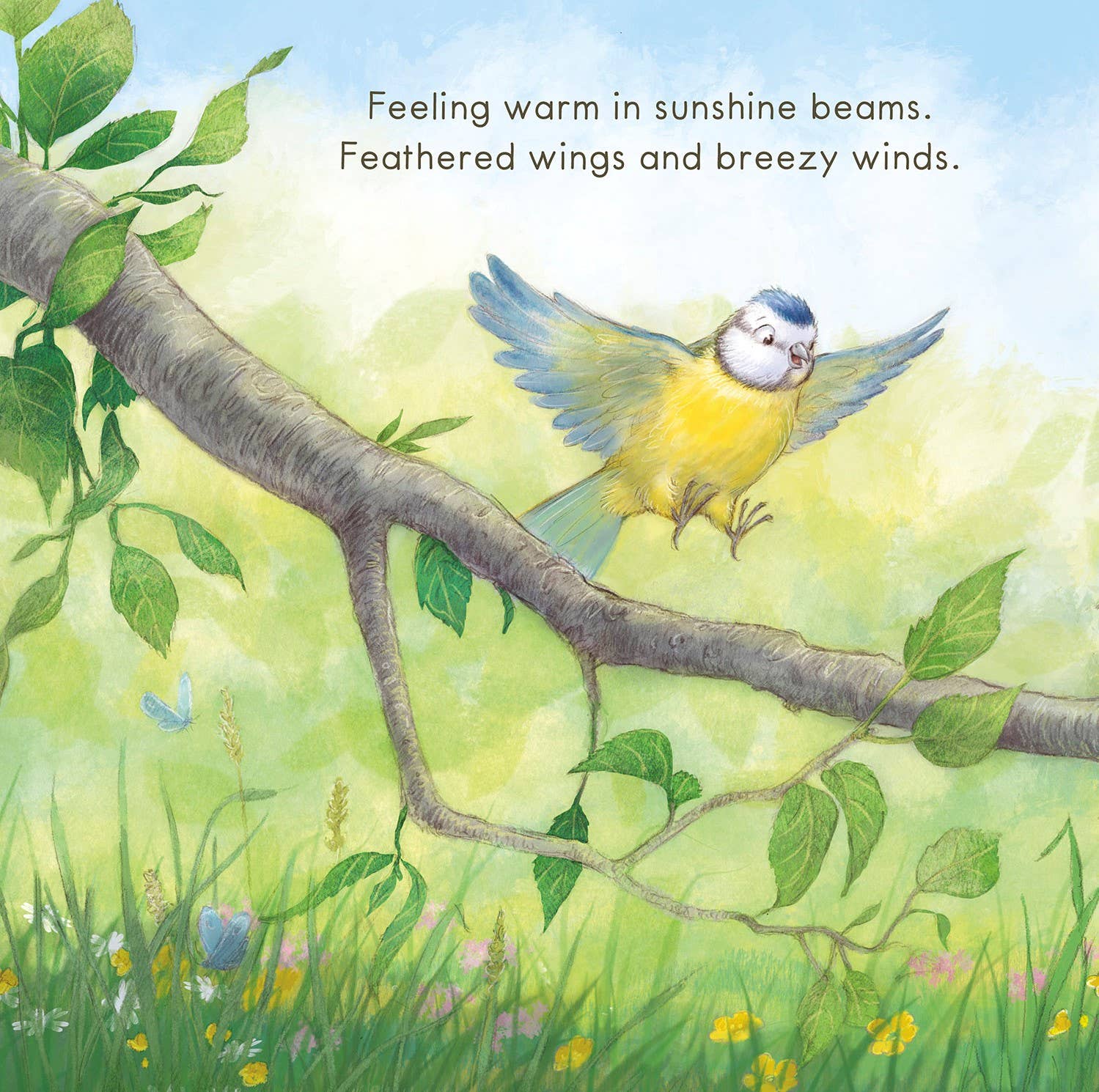 Welcome to the World