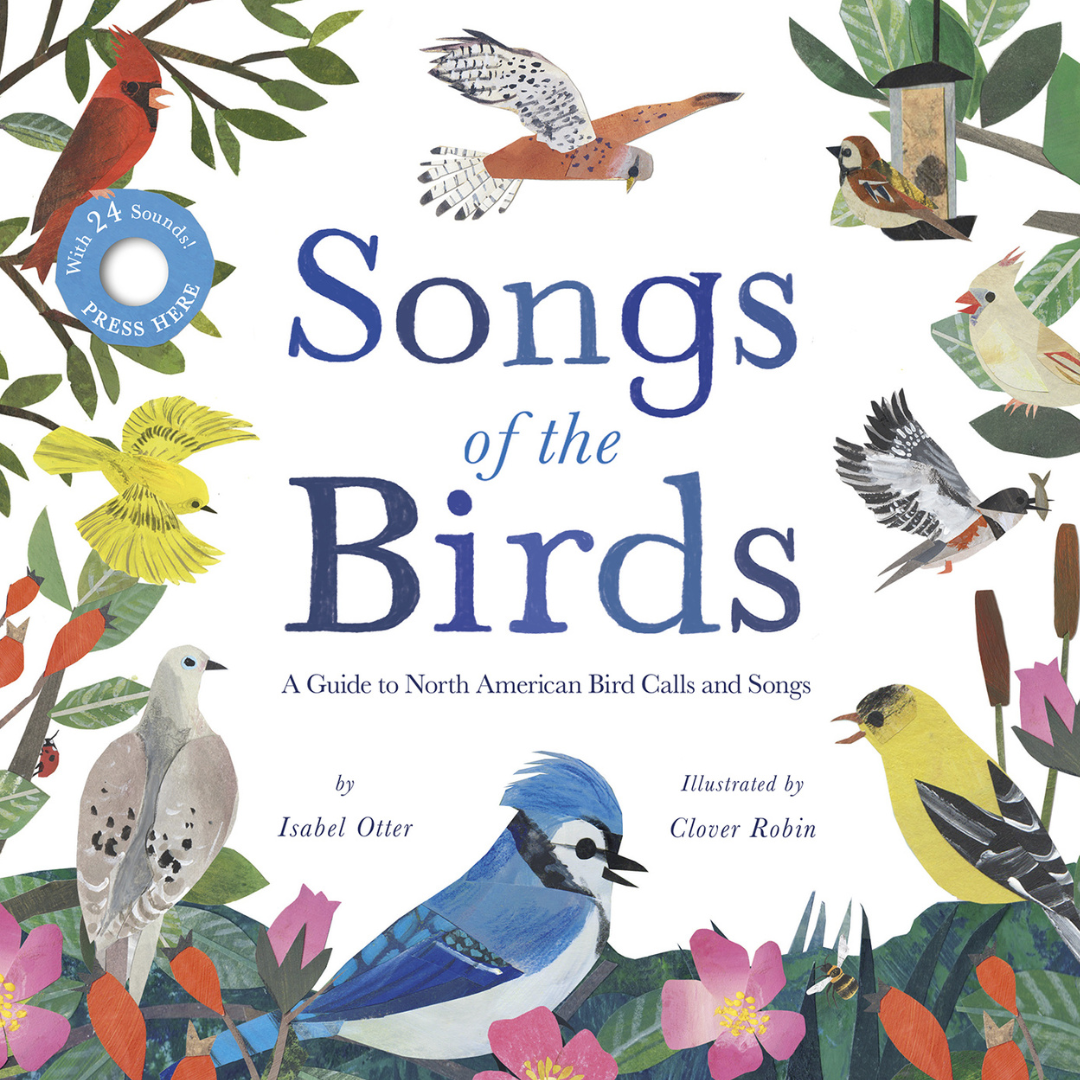 Songs of the Birds Sound Board Book