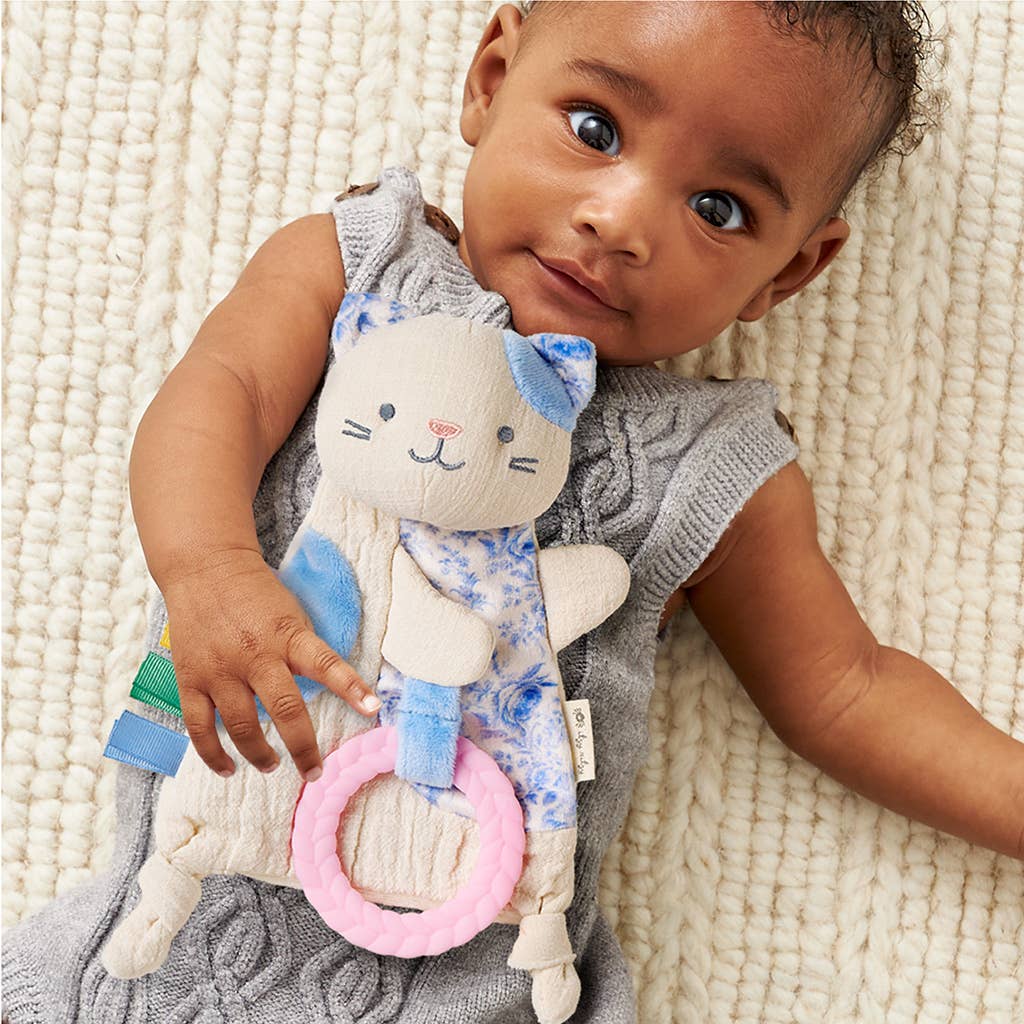 Crinkle Kitty Sensory Toy with Teether